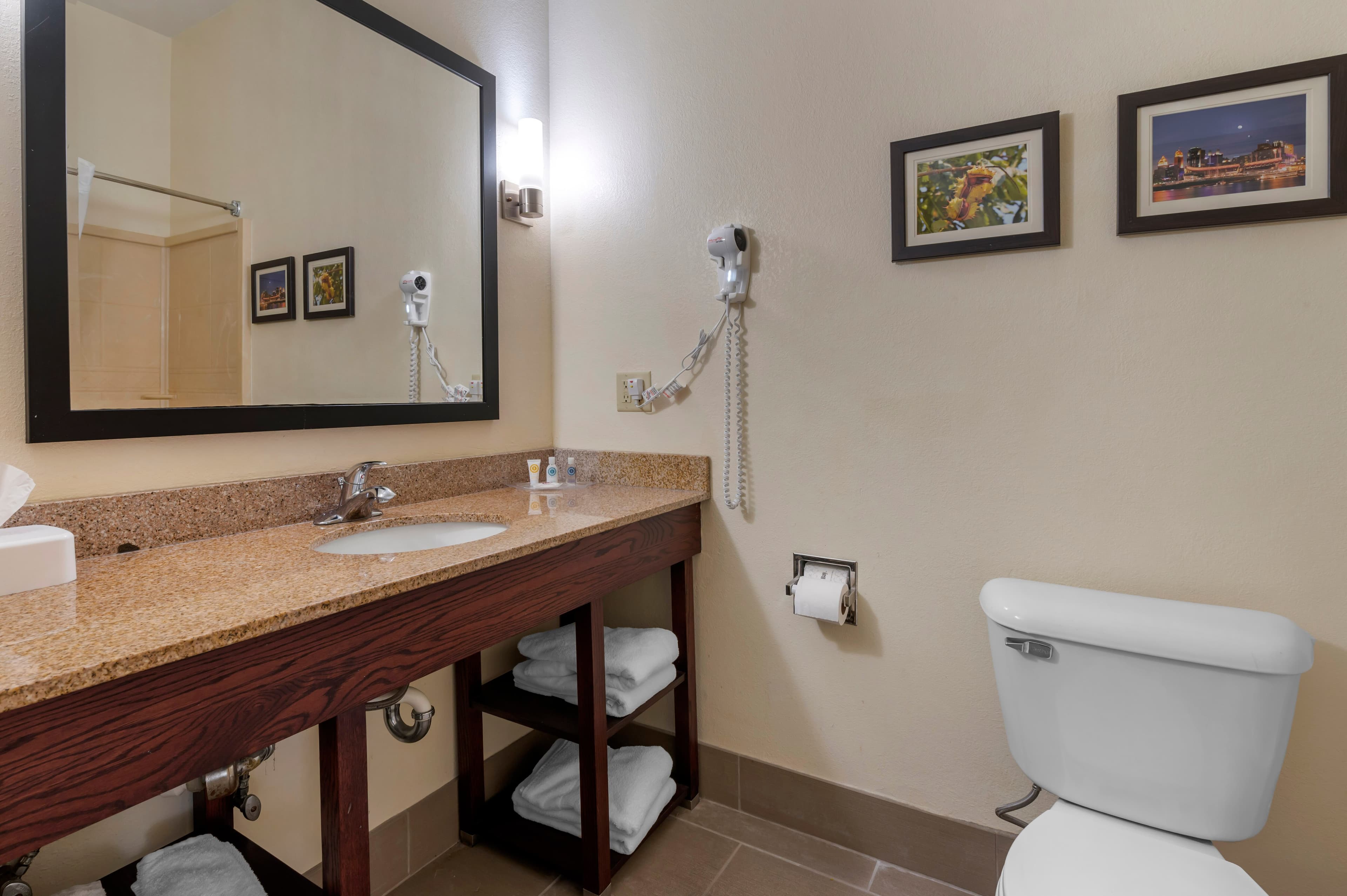Comfort Suites Miamisburg - Dayton South — 29