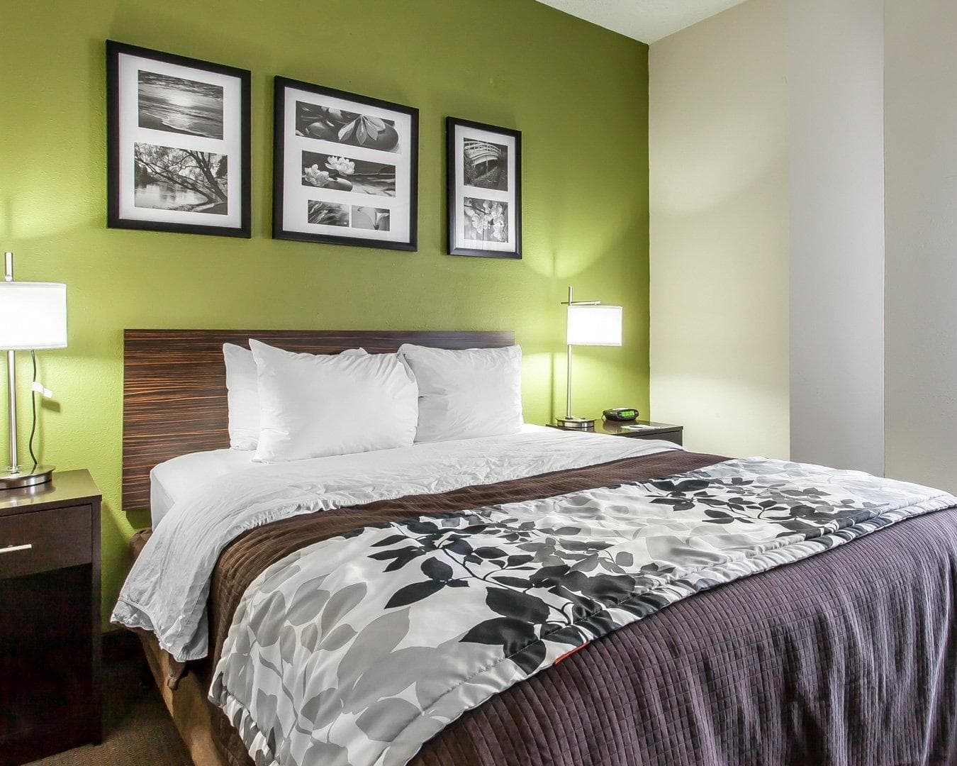 Sleep Inn & Suites Near I-90 and Ashtabula - Image 1