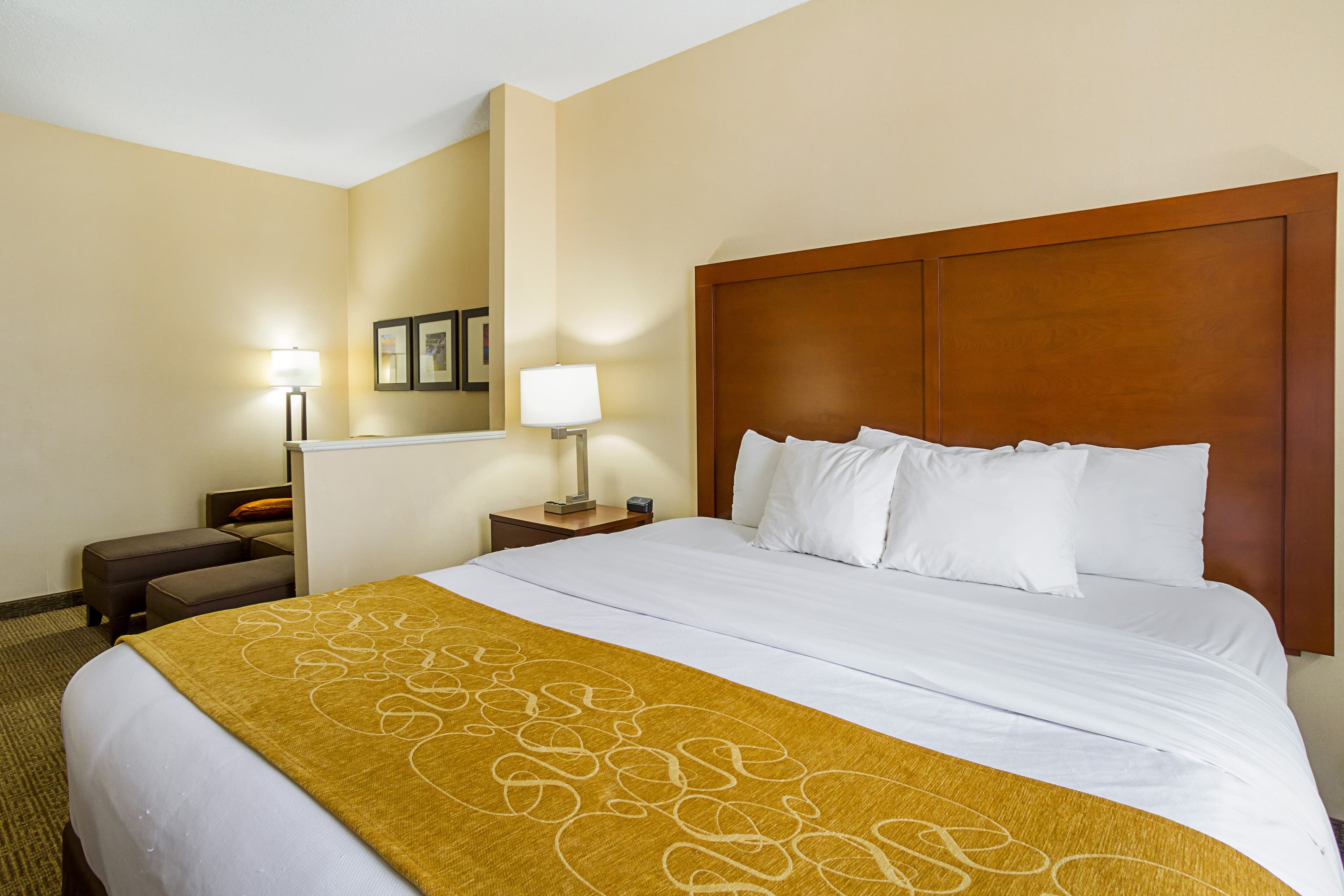 Comfort Suites Twinsburg — 23