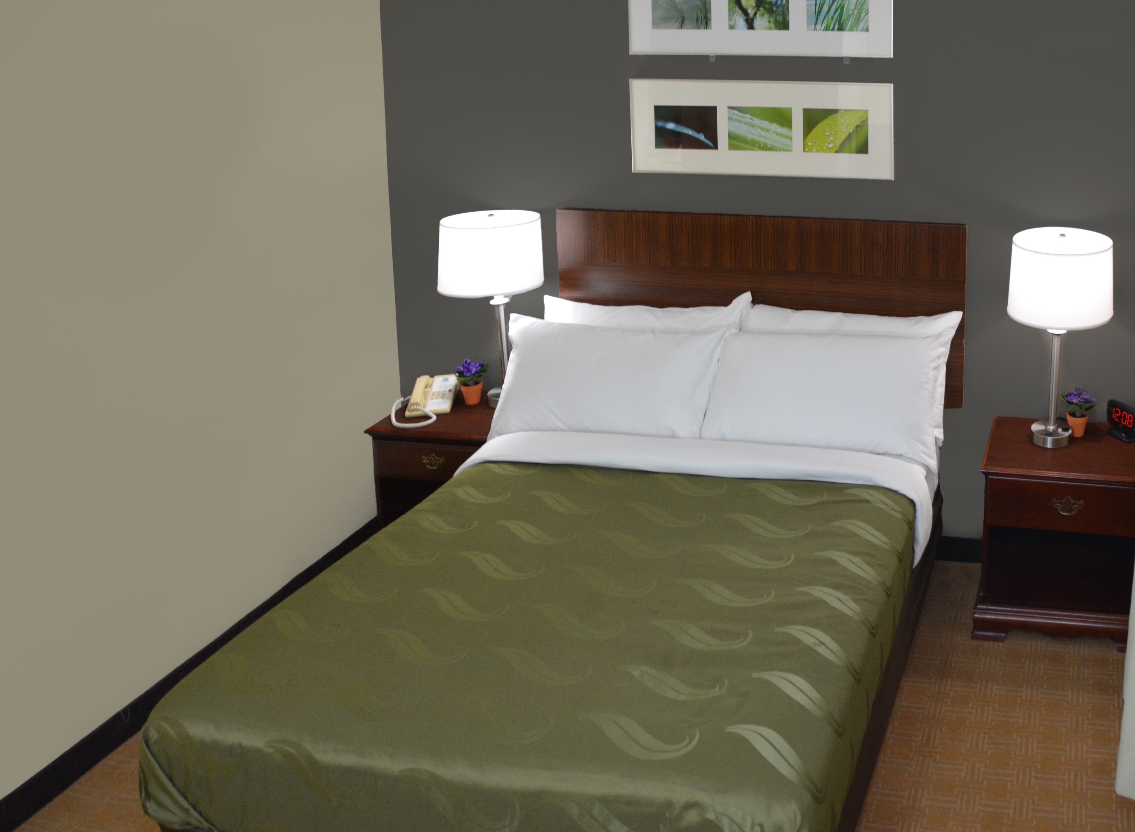 Quality Inn & Suites — 12