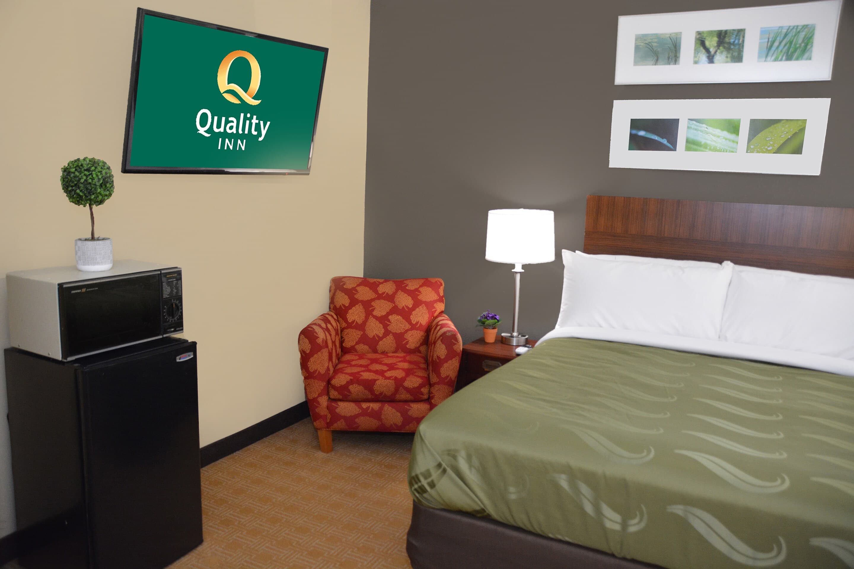 Quality Inn & Suites — 13