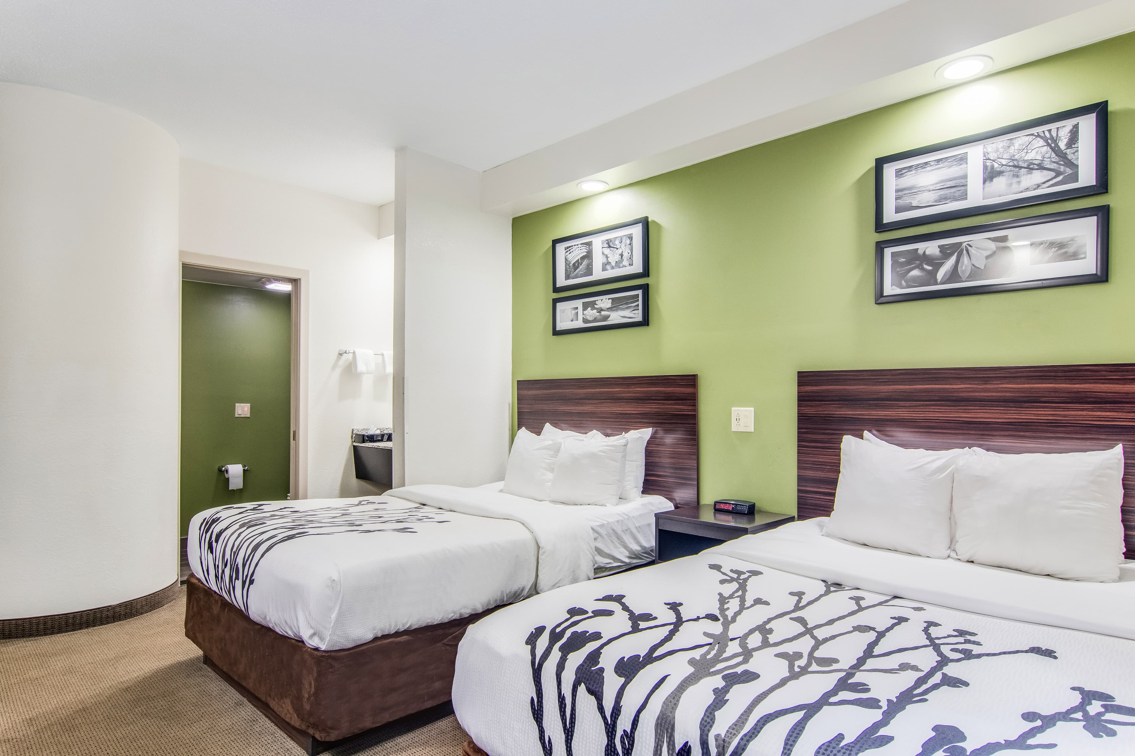 Sleep Inn Austintown - Youngstown, West - Image 4