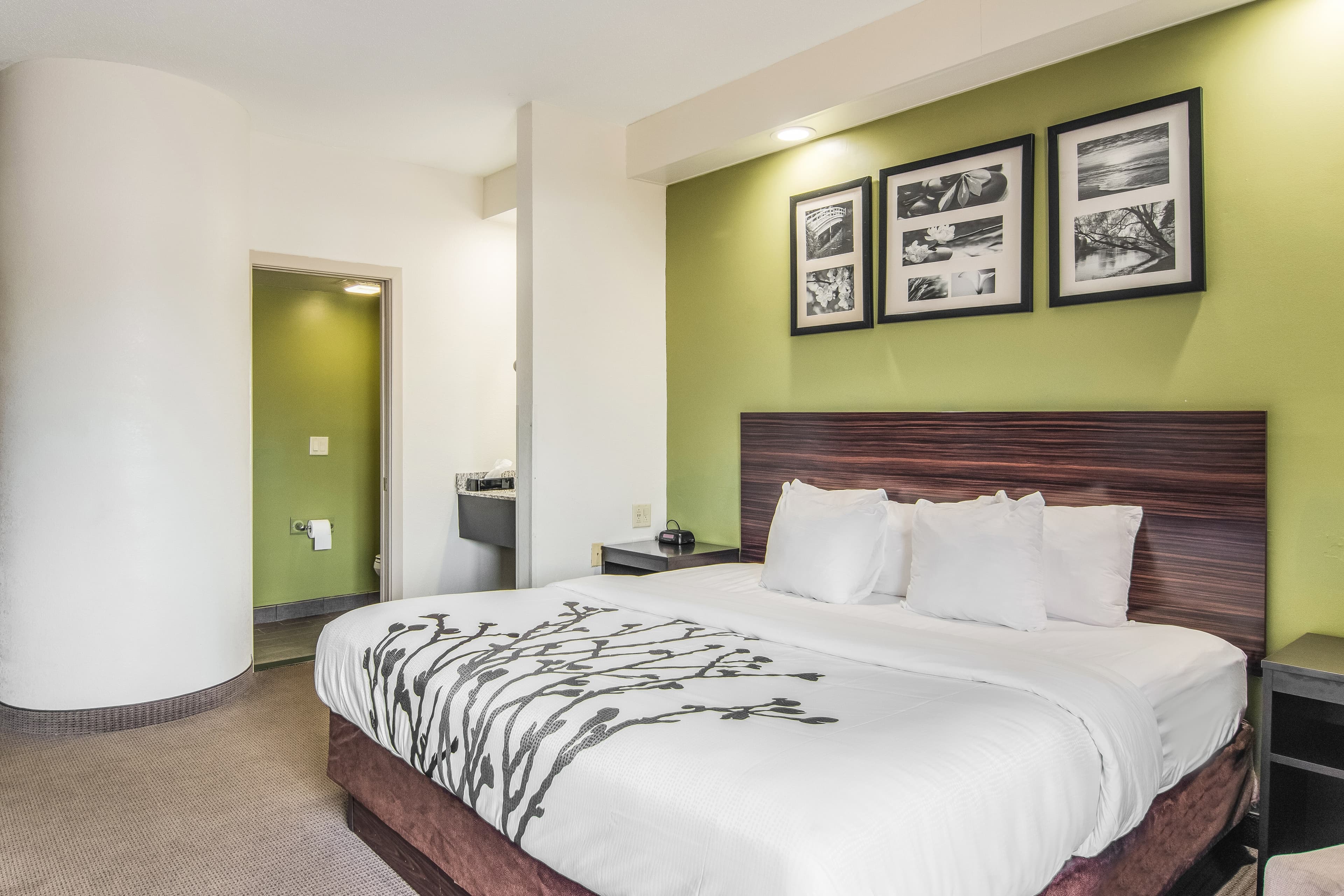Sleep Inn Austintown - Youngstown, West — 11