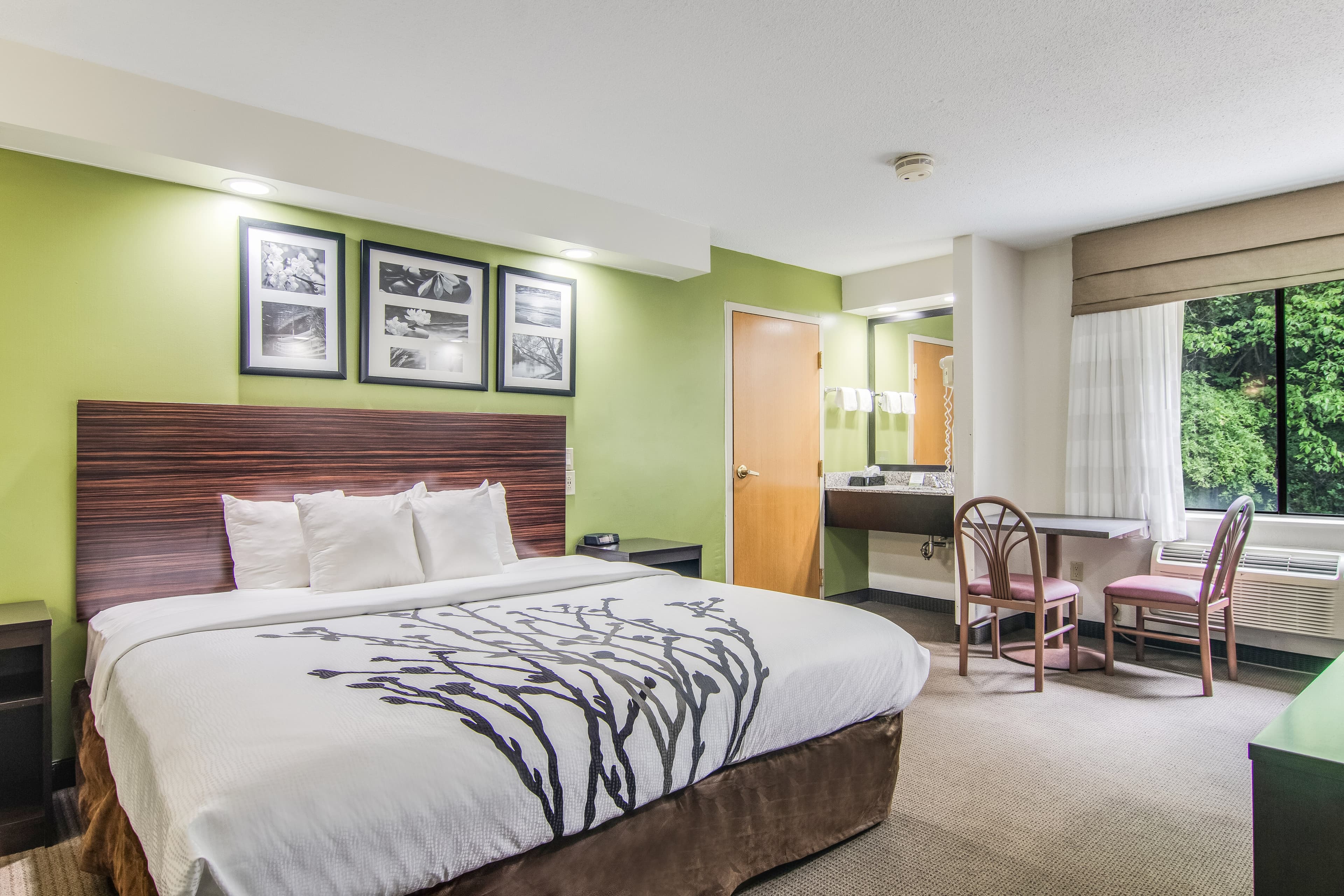 Sleep Inn Austintown - Youngstown, West — 15