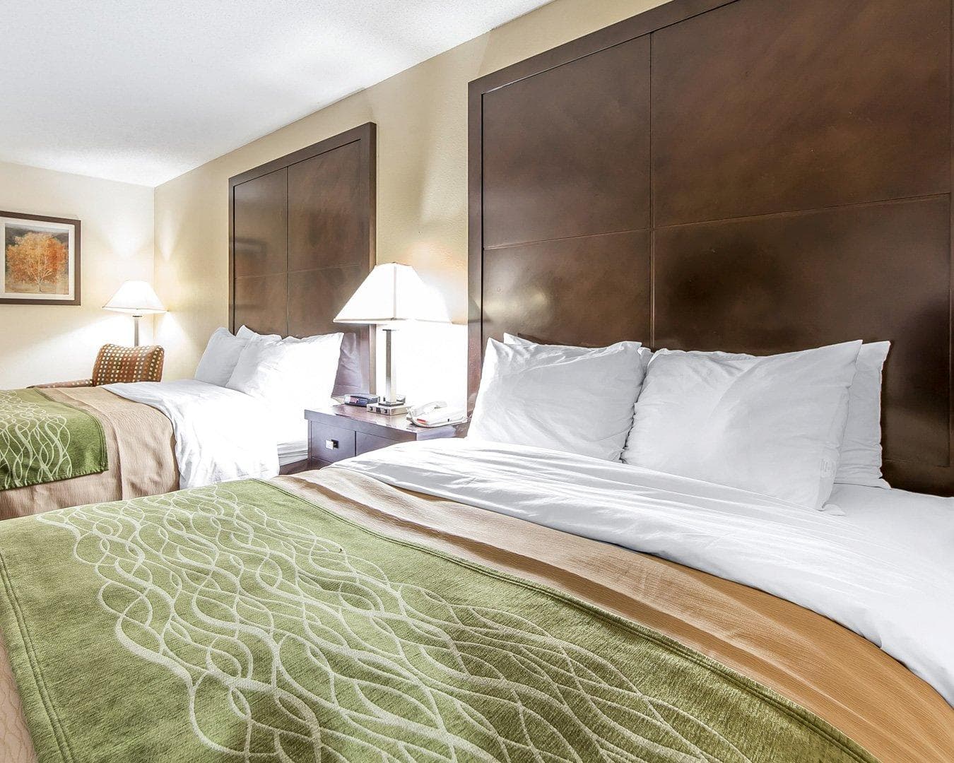 Quality Inn & Suites Portsmouth - Image 3
