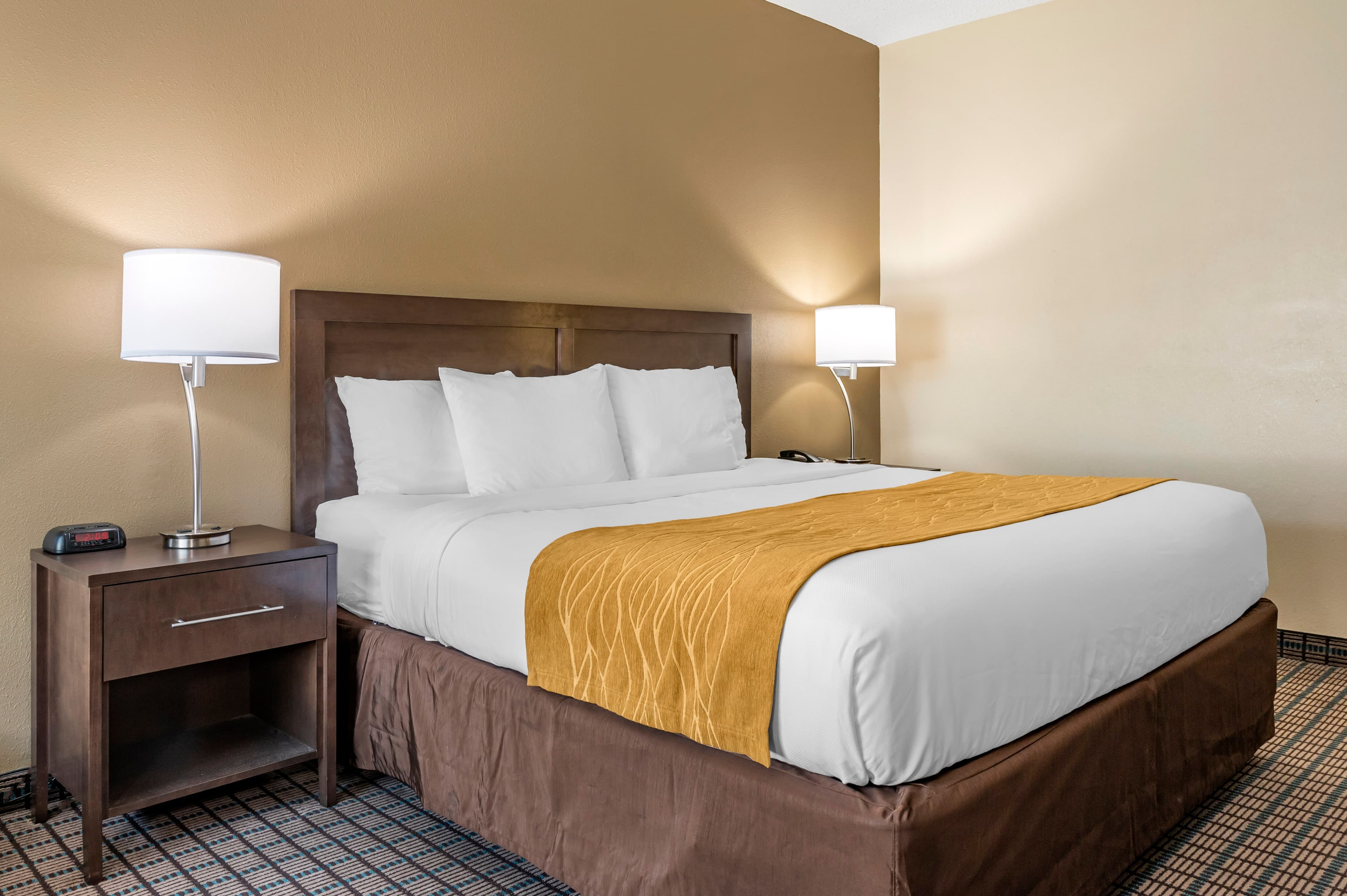 Comfort Inn & Suites Cincinnati Uptown Clifton - Image 2