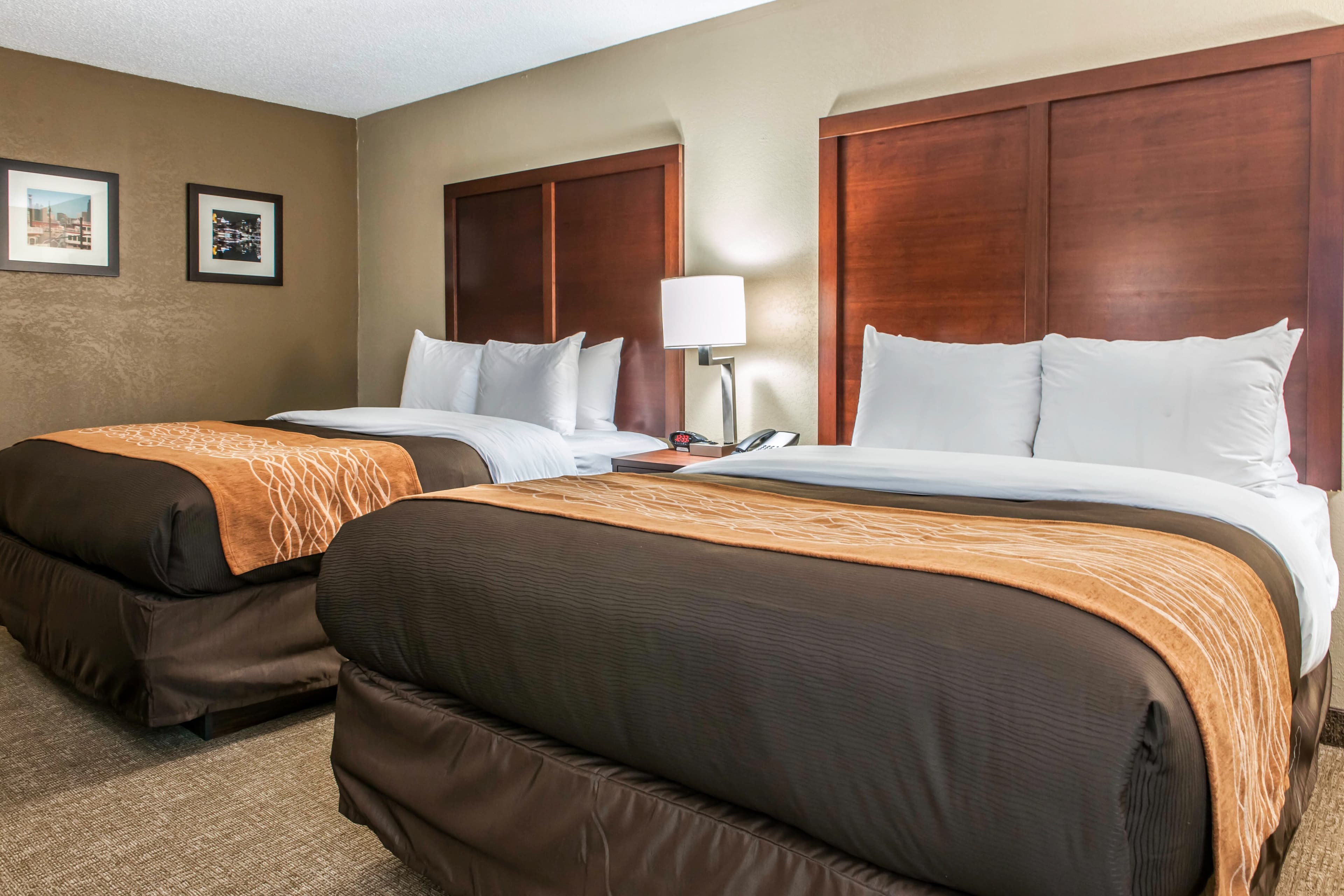 Comfort Inn Blue Ash North — 8