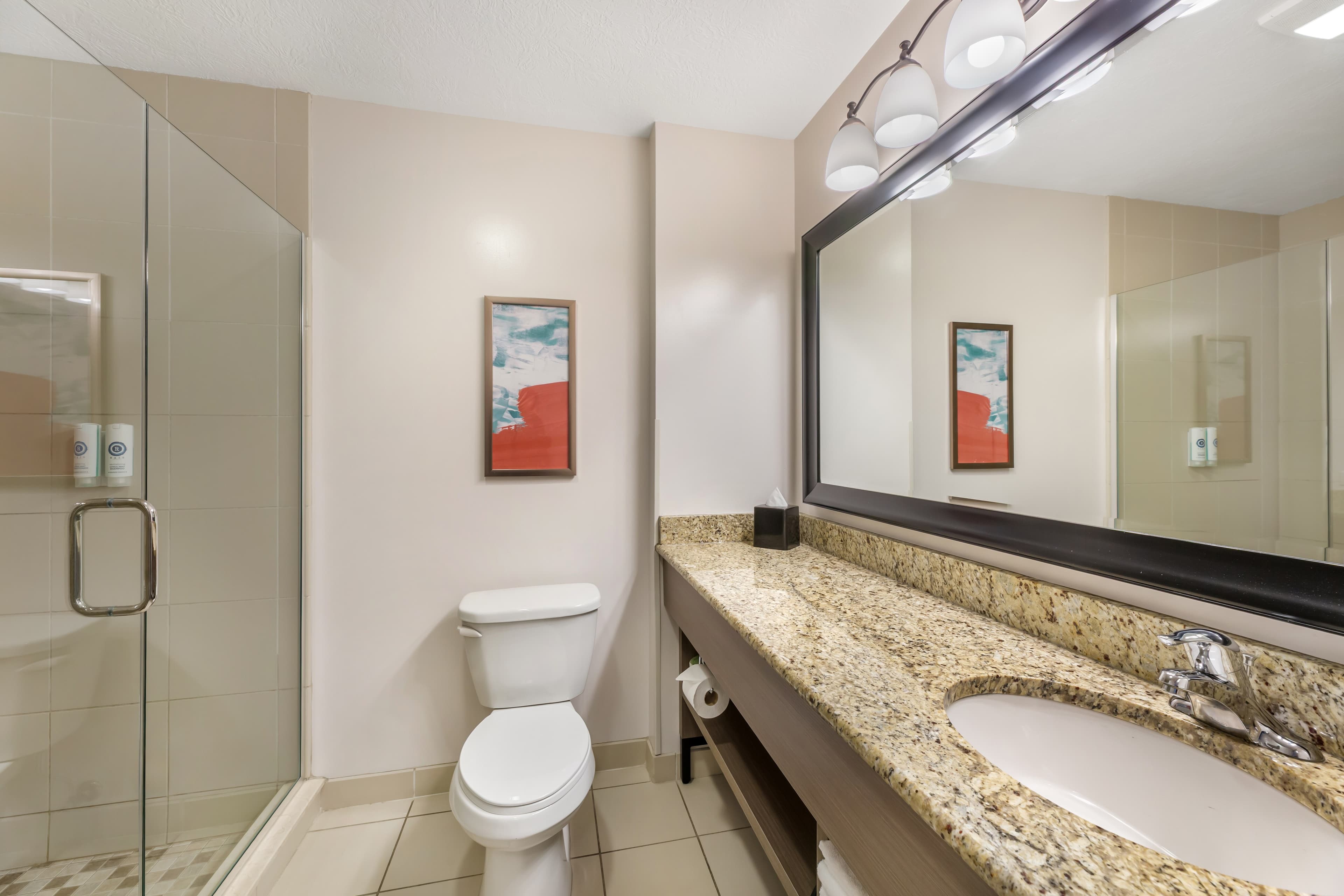 Comfort Inn & Suites Dover — 15