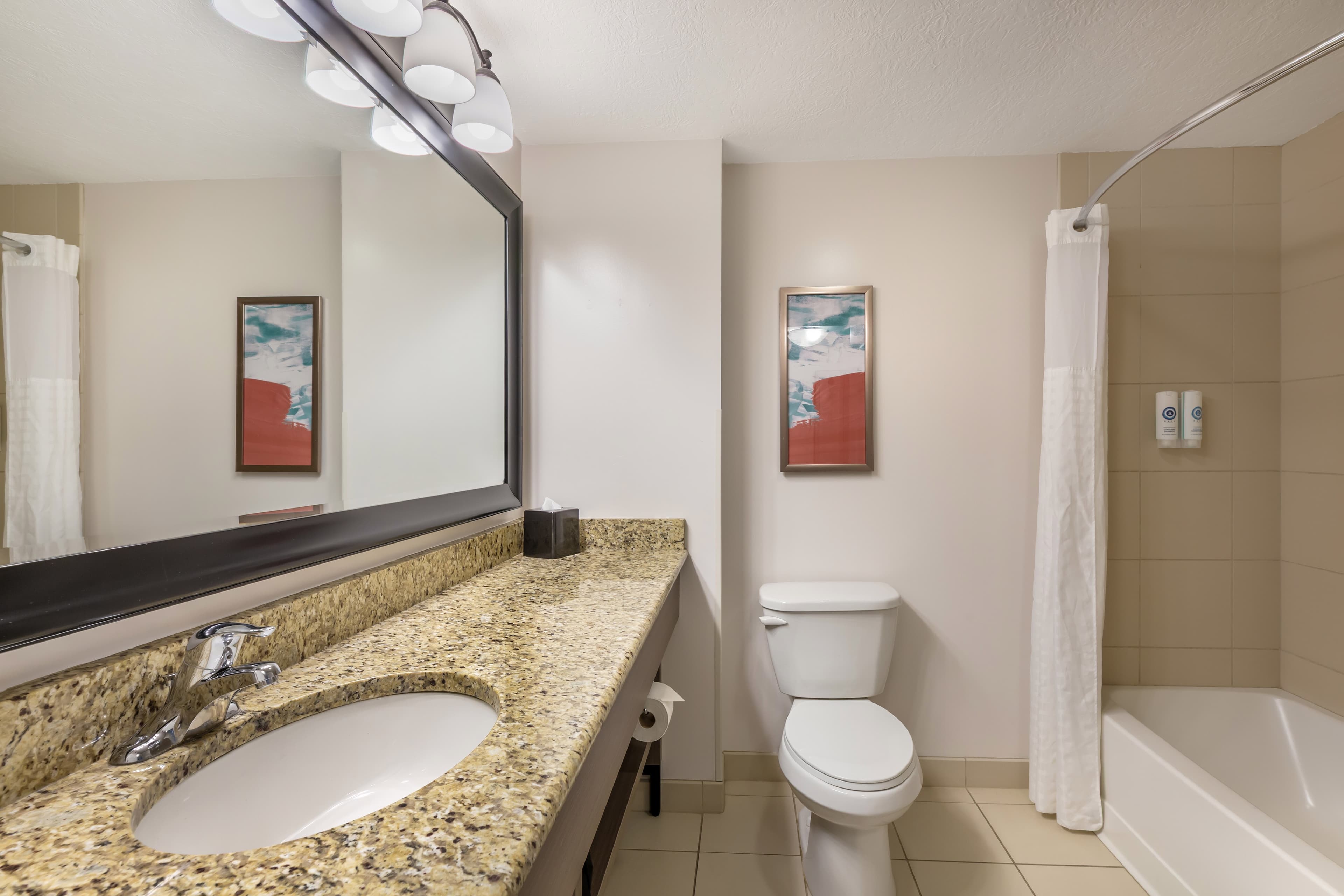 Comfort Inn & Suites Dover — 19