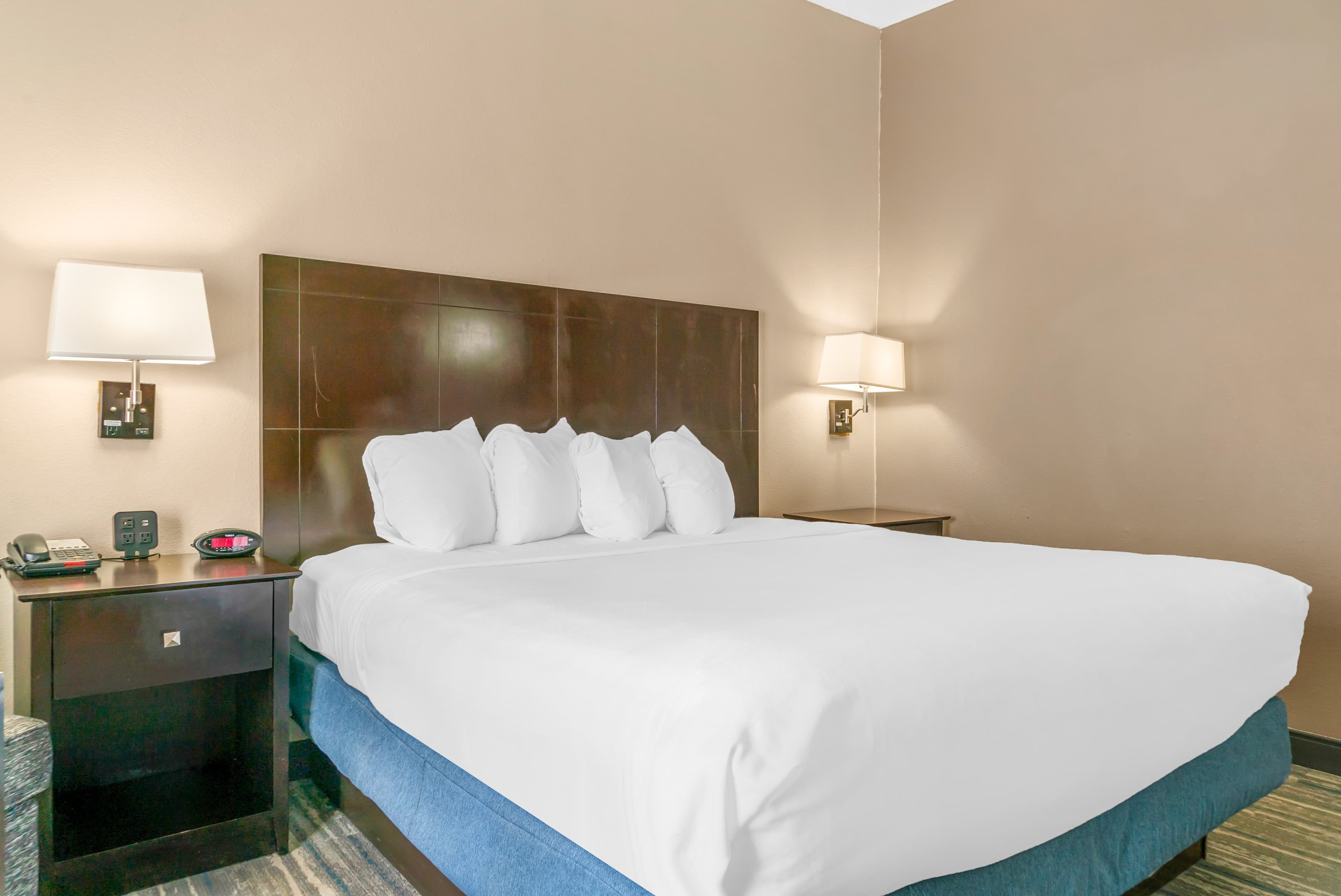 Comfort Inn & Suites Toledo North — 13