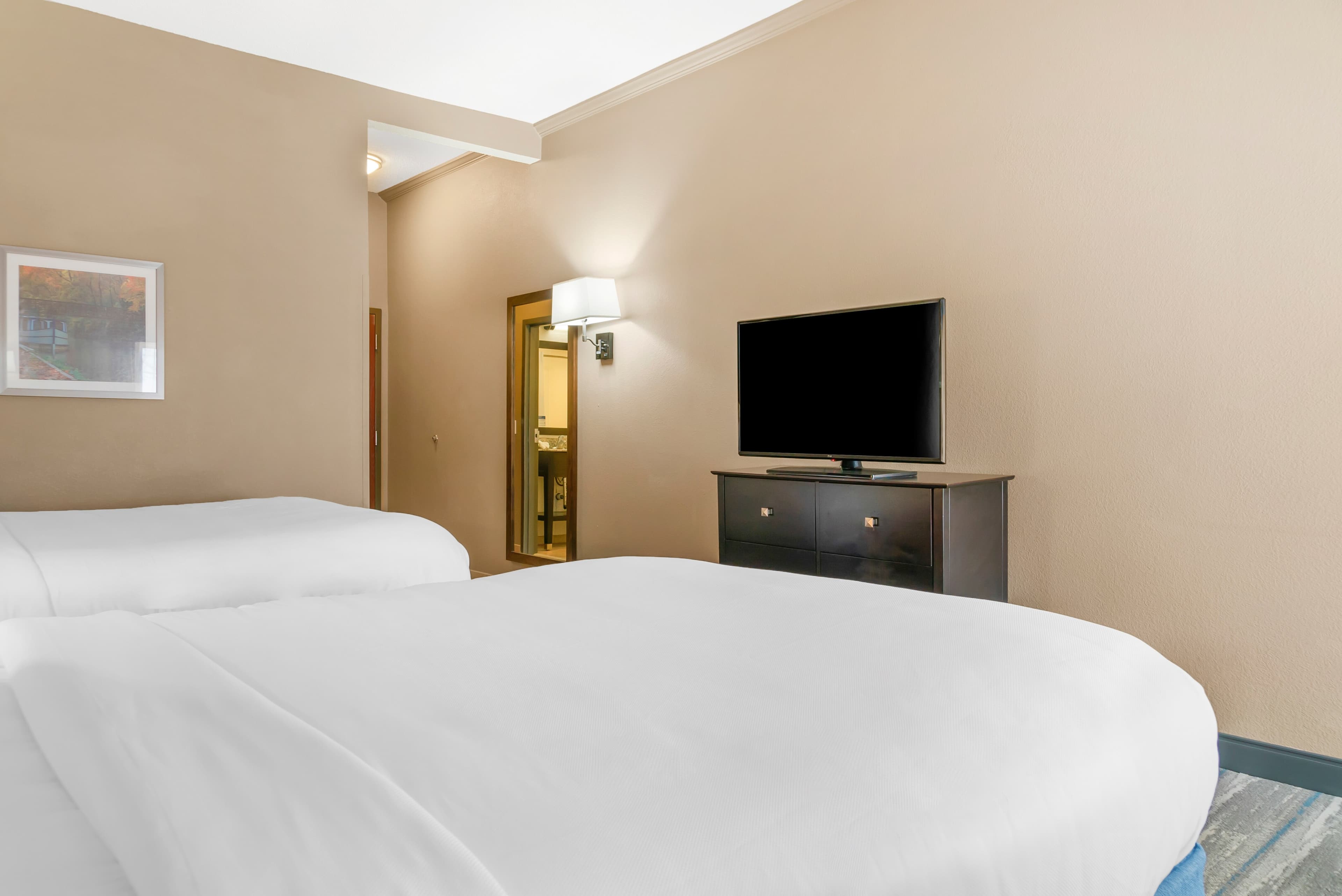 Comfort Inn & Suites Toledo North — 18