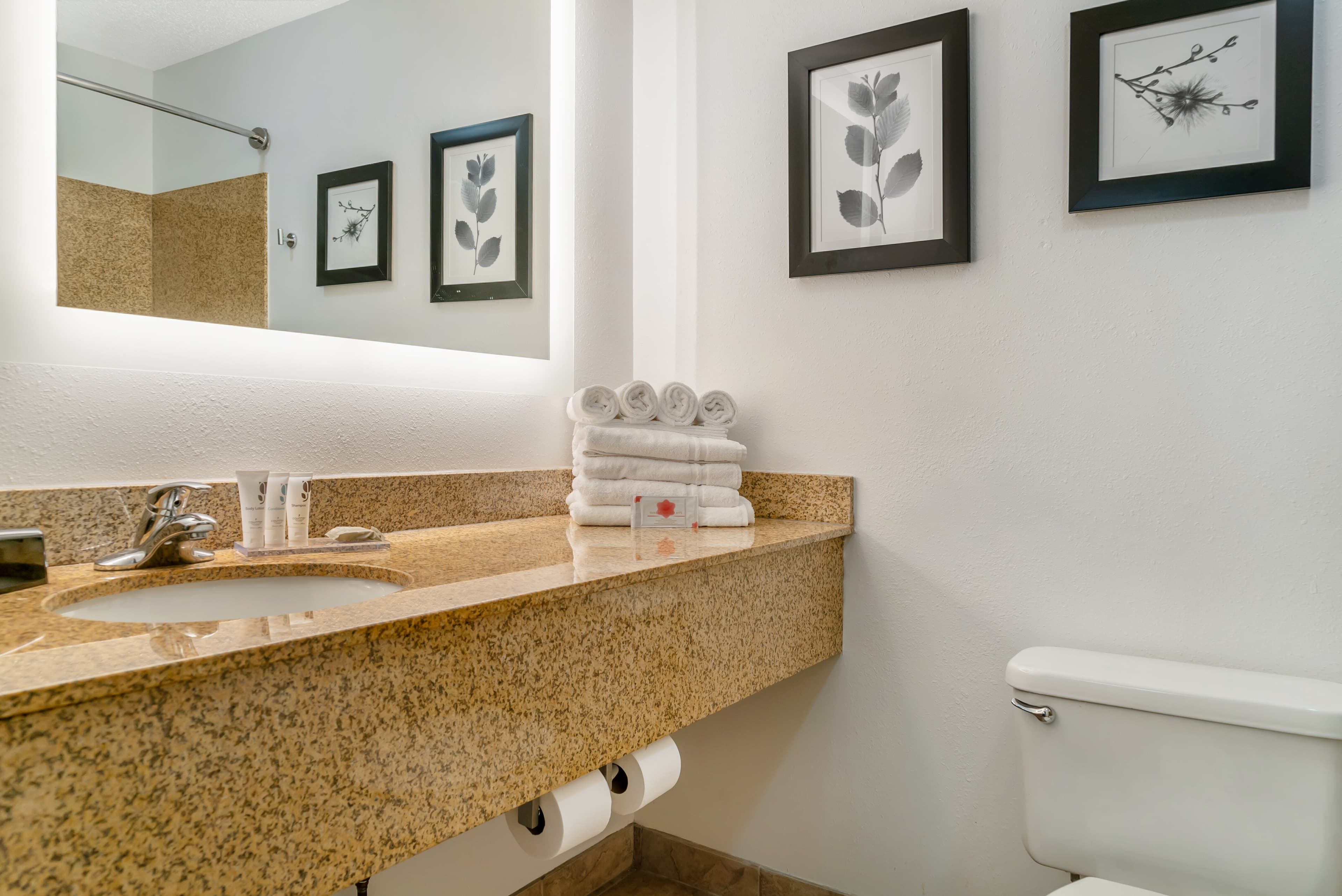Country Inn & Suites by Radisson, Rossford - Toledo South — 24