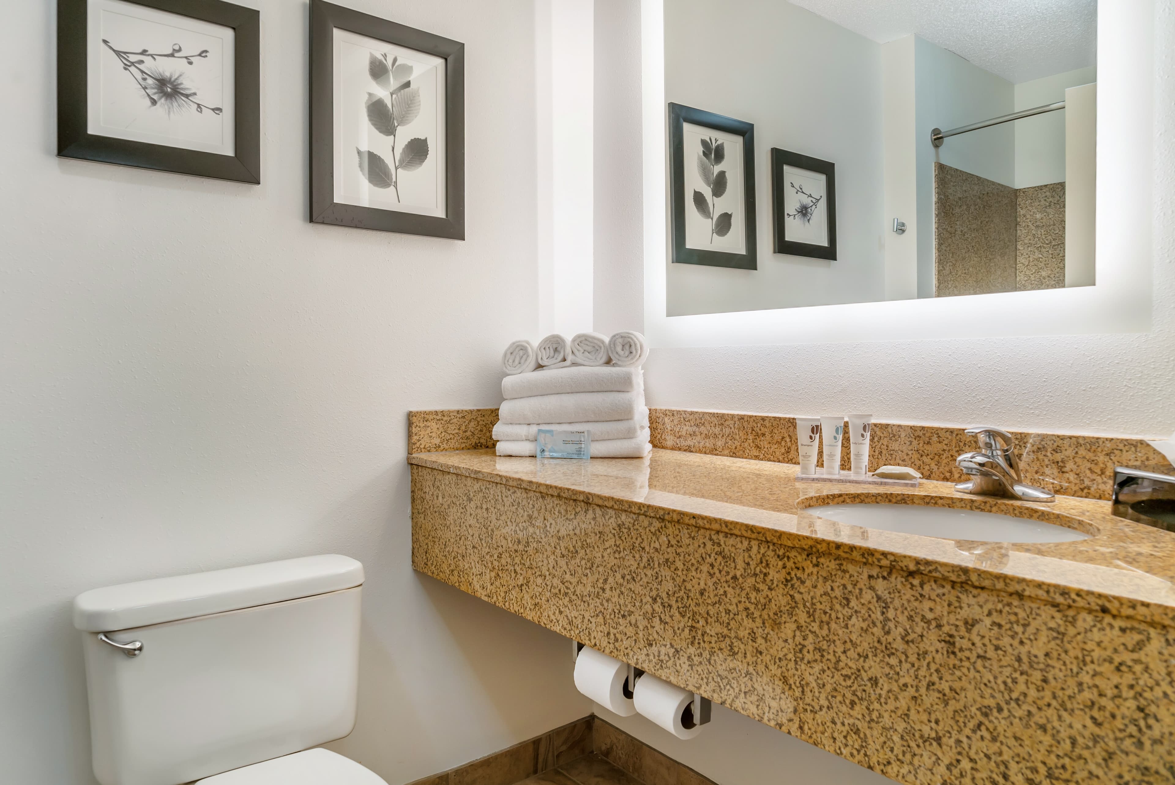 Country Inn & Suites by Radisson, Rossford - Toledo South — 41