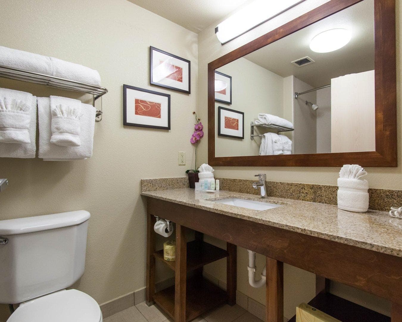 Comfort Suites Tulsa Central — 8