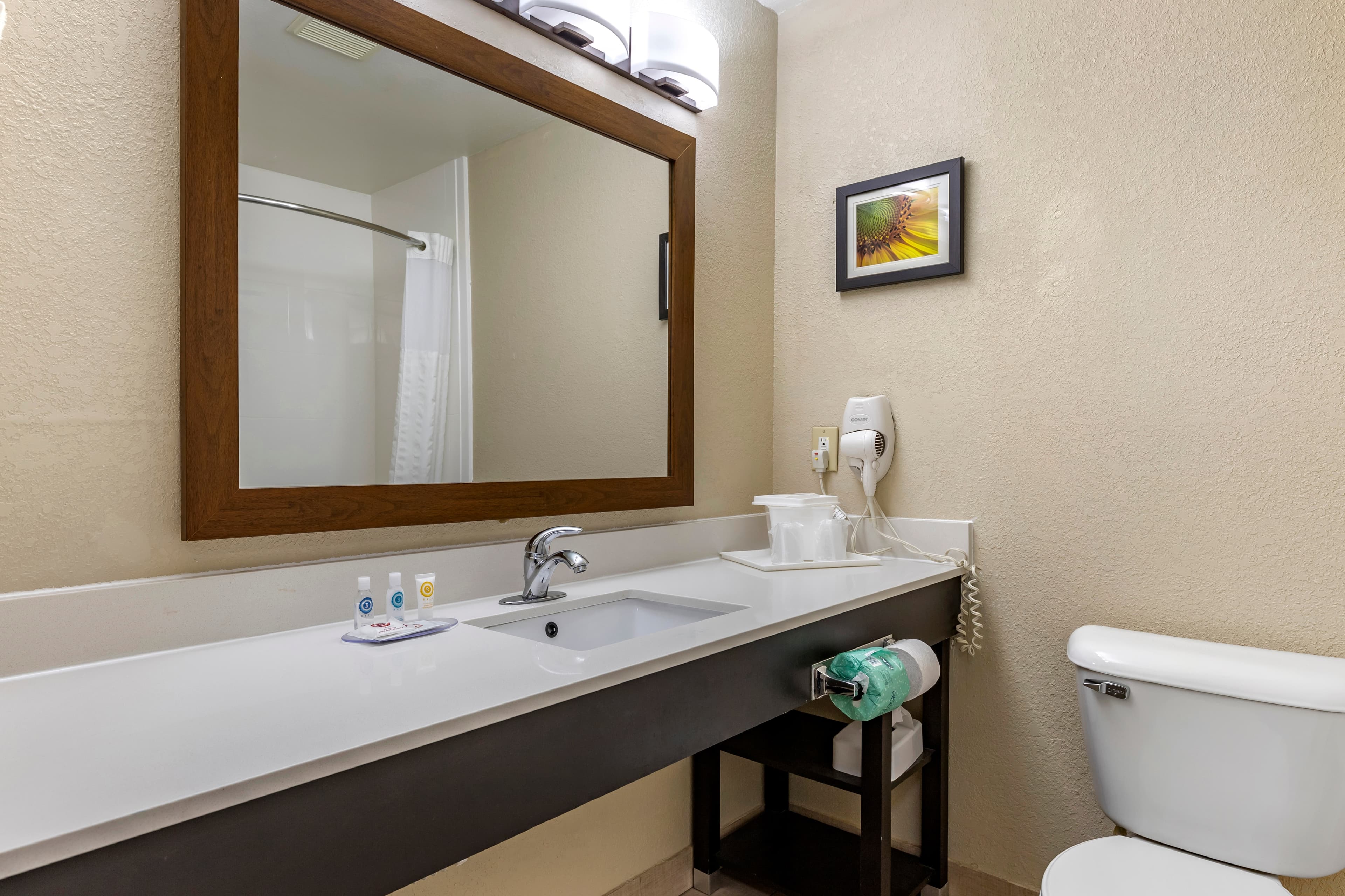 Comfort Inn Oklahoma City South - I-240 — 17
