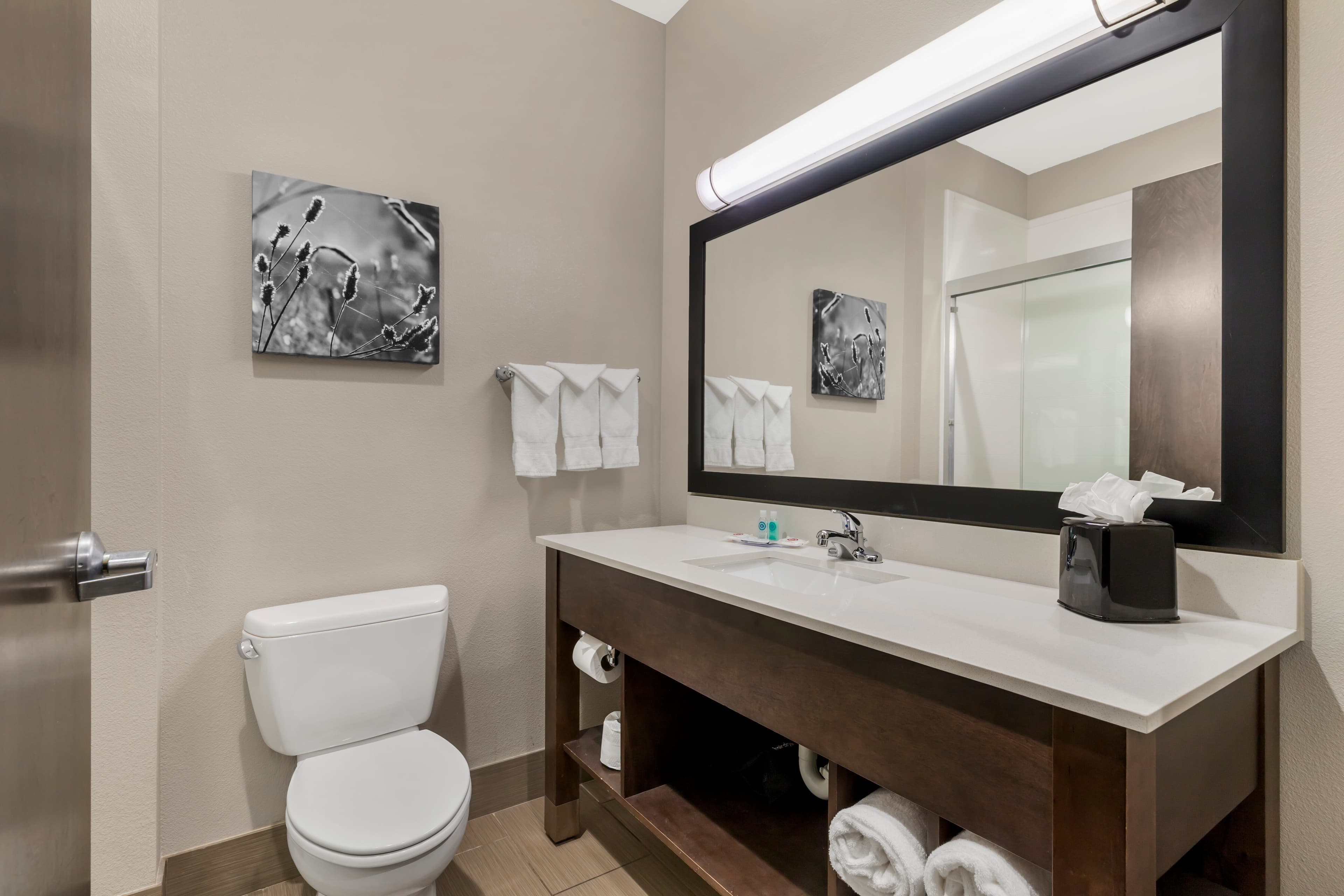 Comfort Inn & Suites — 22