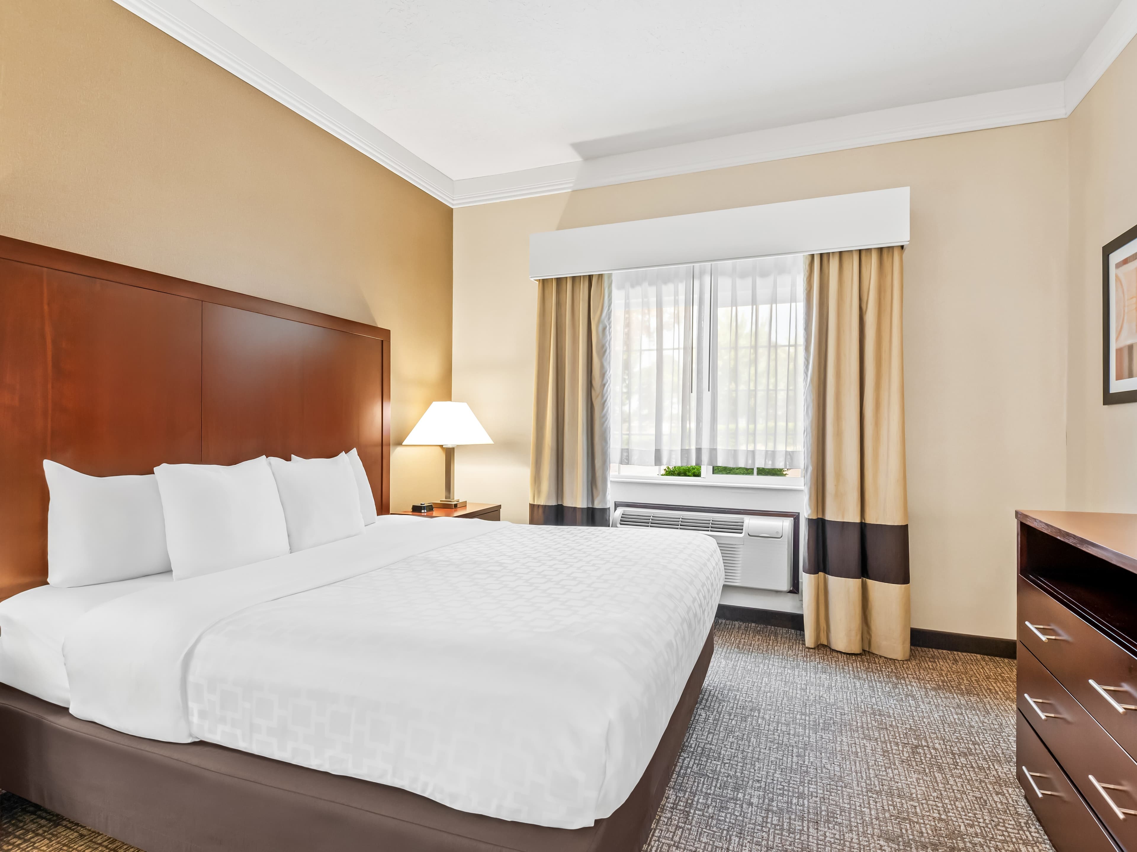 Comfort Suites Linn County Fairground and Expo - Image 2