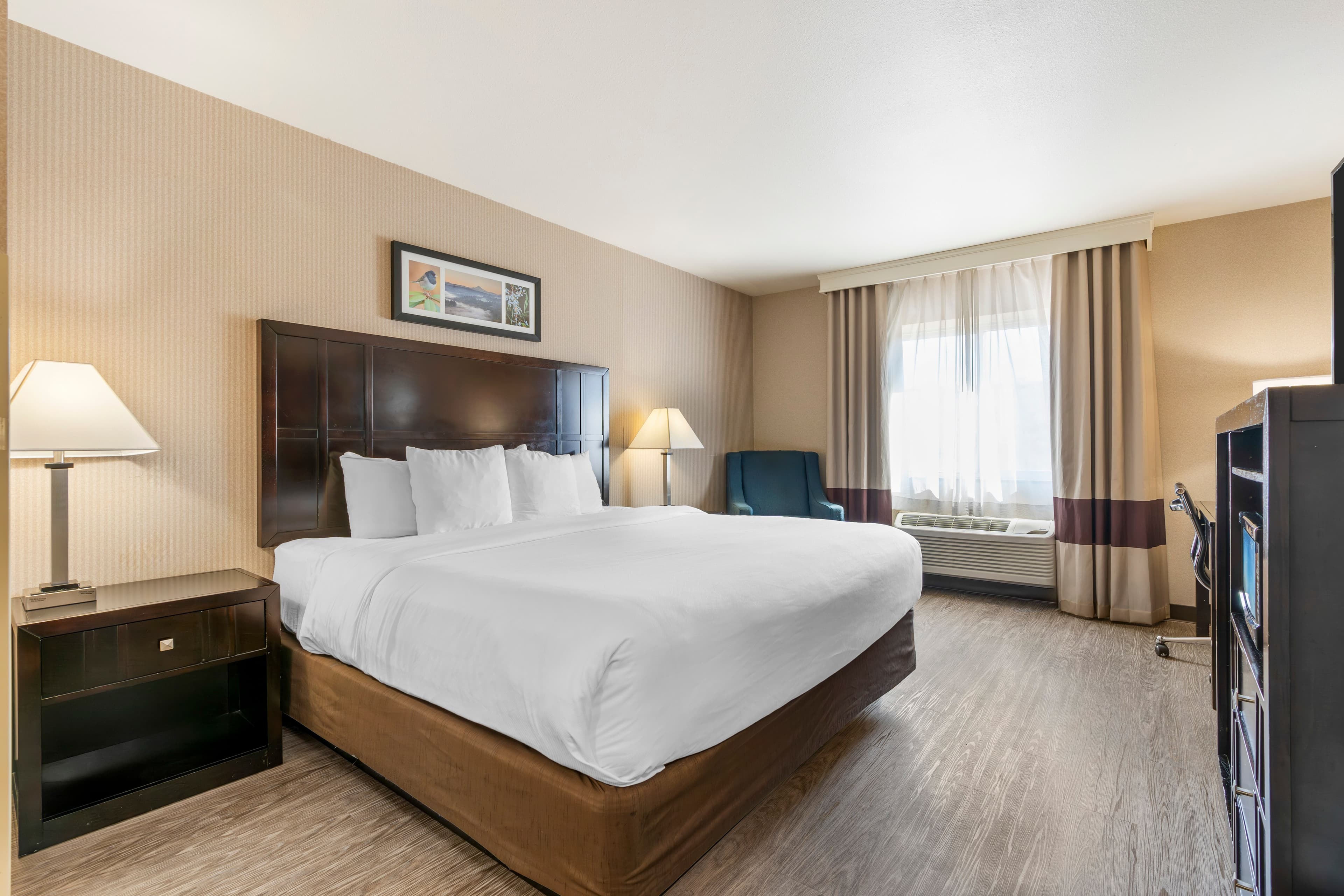 Comfort Inn Troutdale-Portland East — 14