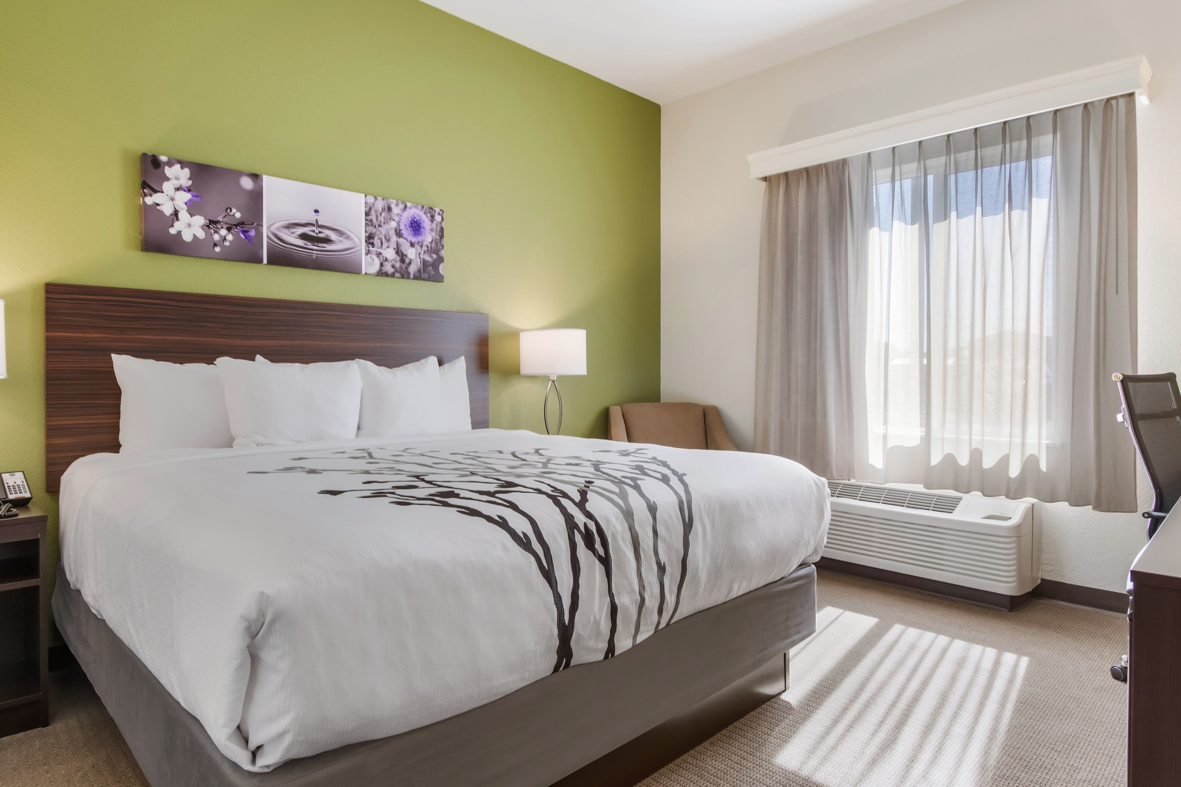 Sleep Inn Boardman — 14