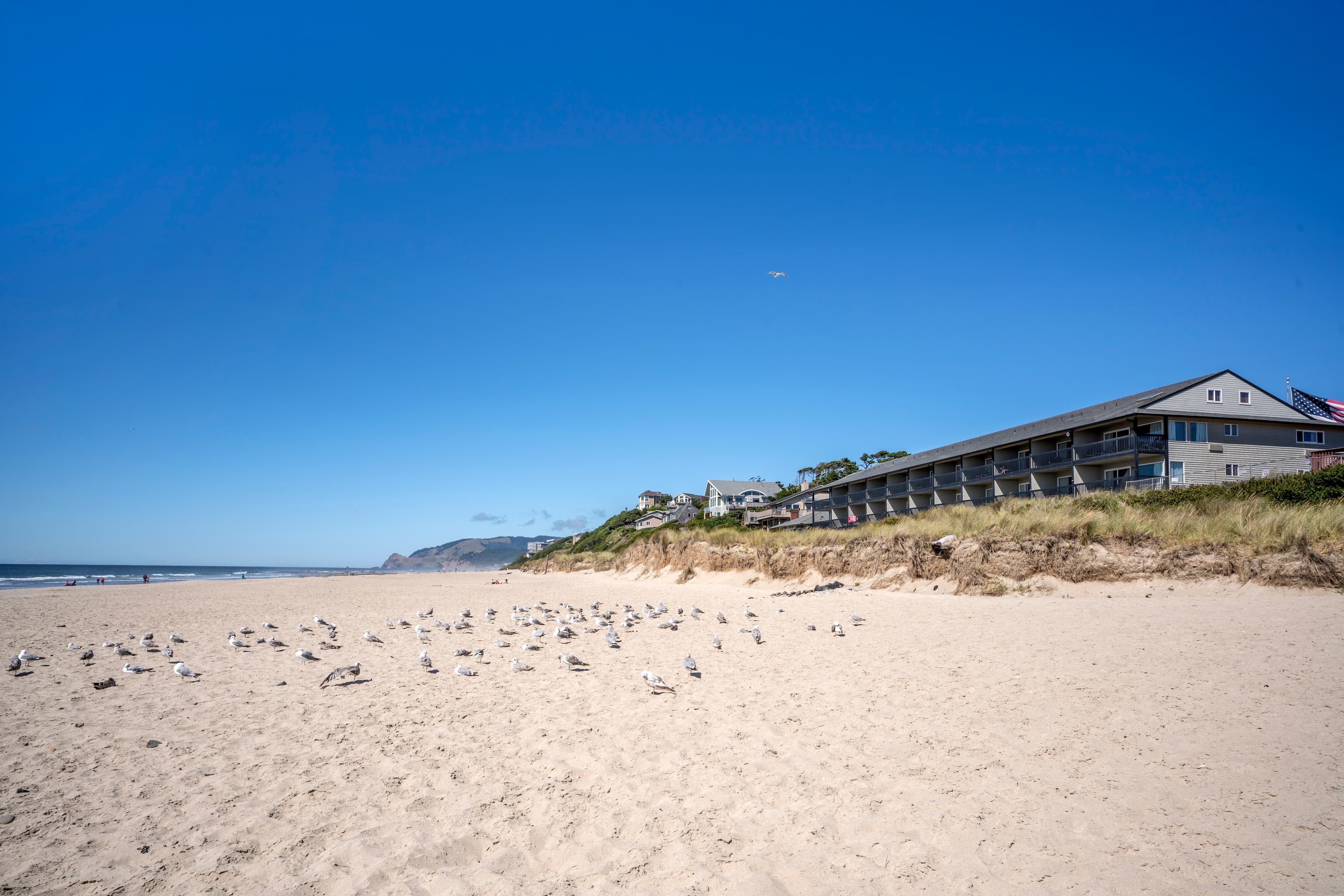 Lincoln Sands Oceanfront Resort, an Ascend Collection Hotel - Image 1
