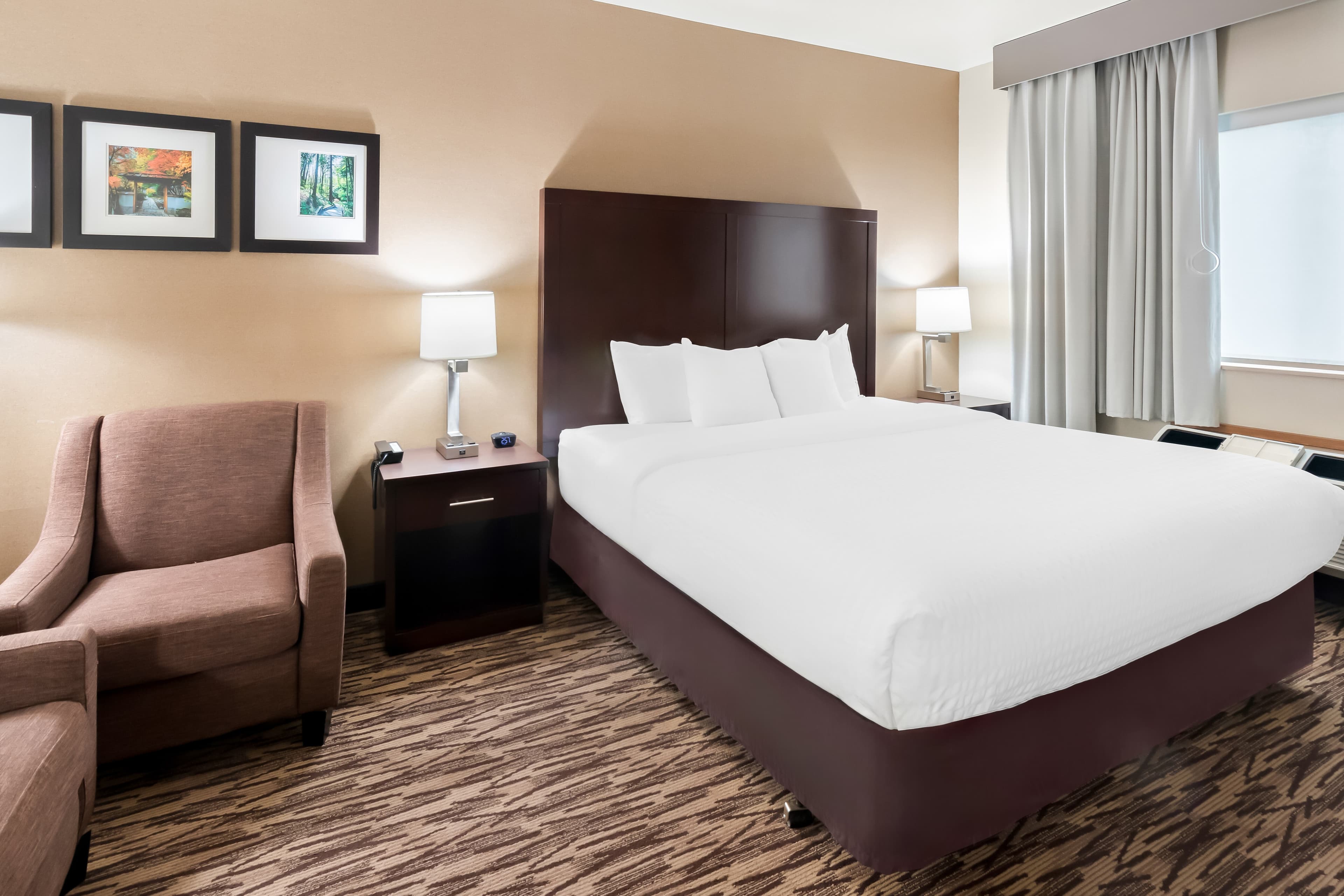 Comfort Suites Portland Airport - Image 2