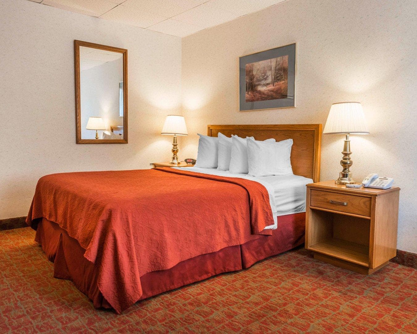 Quality Inn Royle — 24