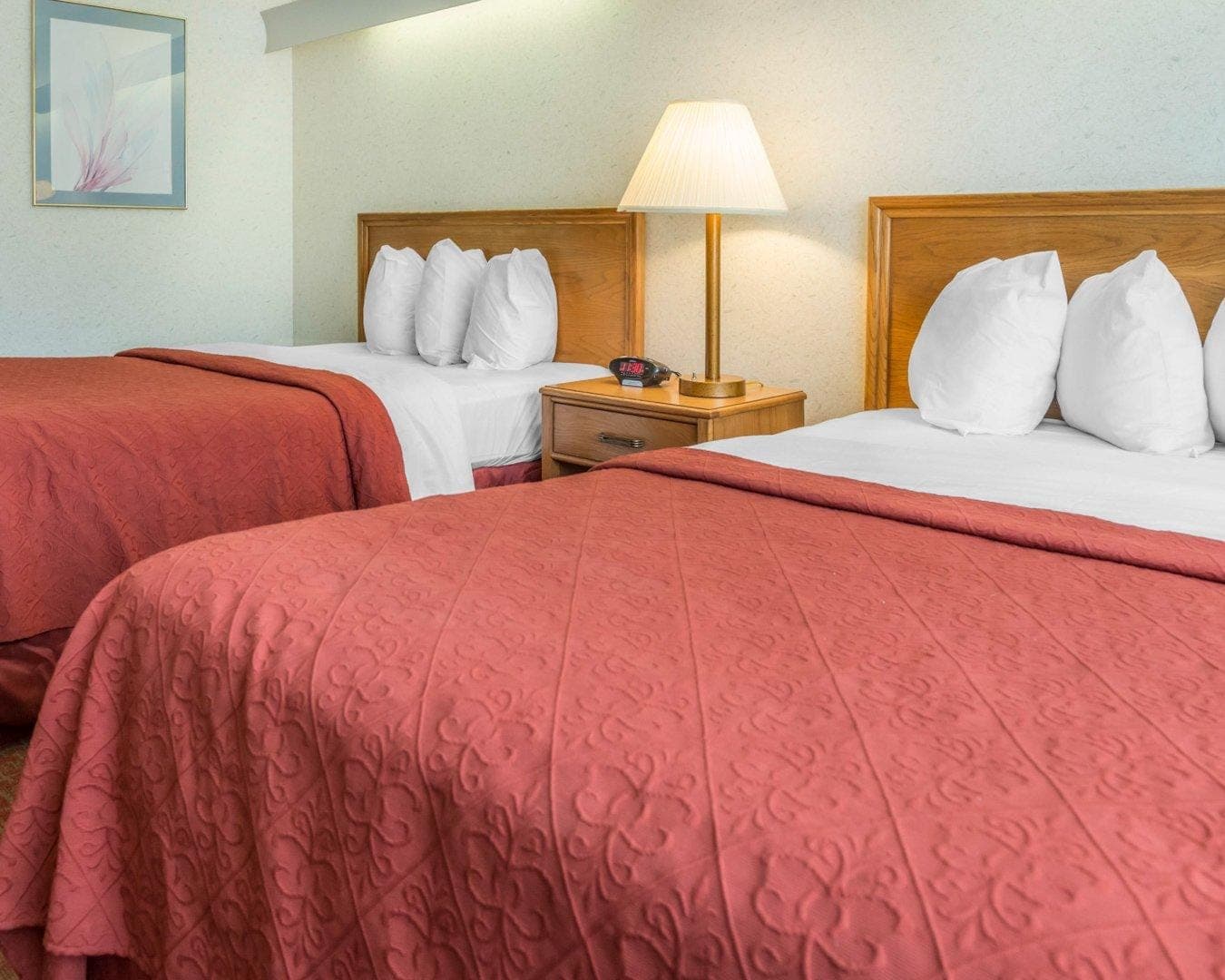 Quality Inn Royle — 12