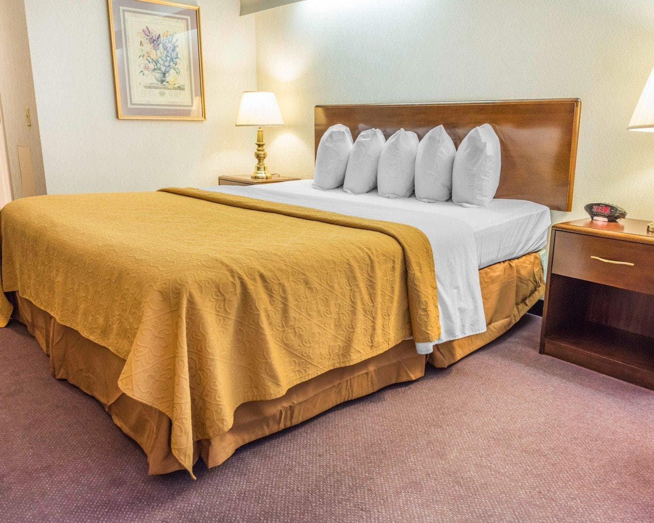 Quality Inn Royle - Image 2