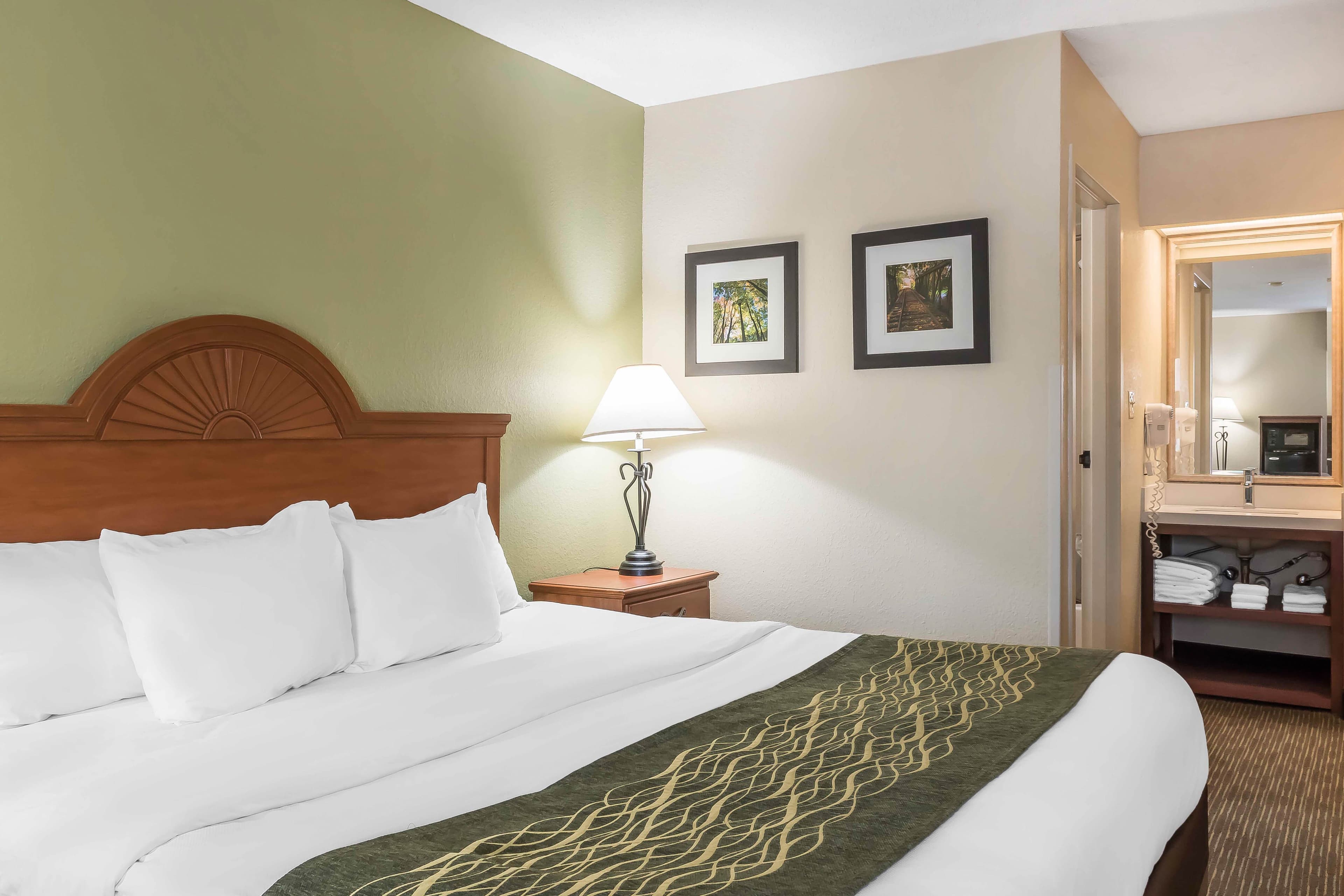 Comfort Inn Pine Grove I-81 Hershey Area - Image 3