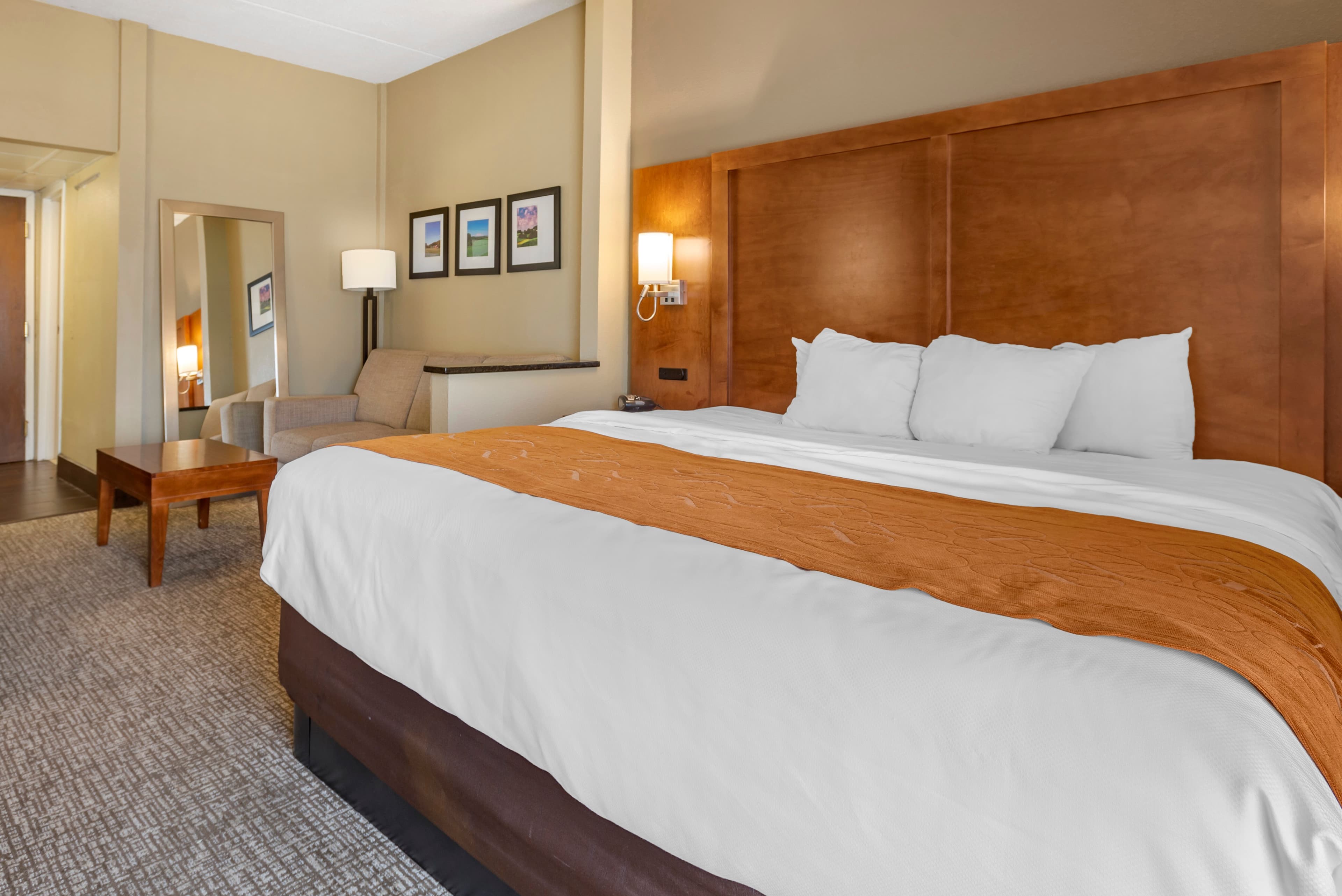 Comfort Suites Bethlehem Near Lehigh University and LVI Airport - Image 3