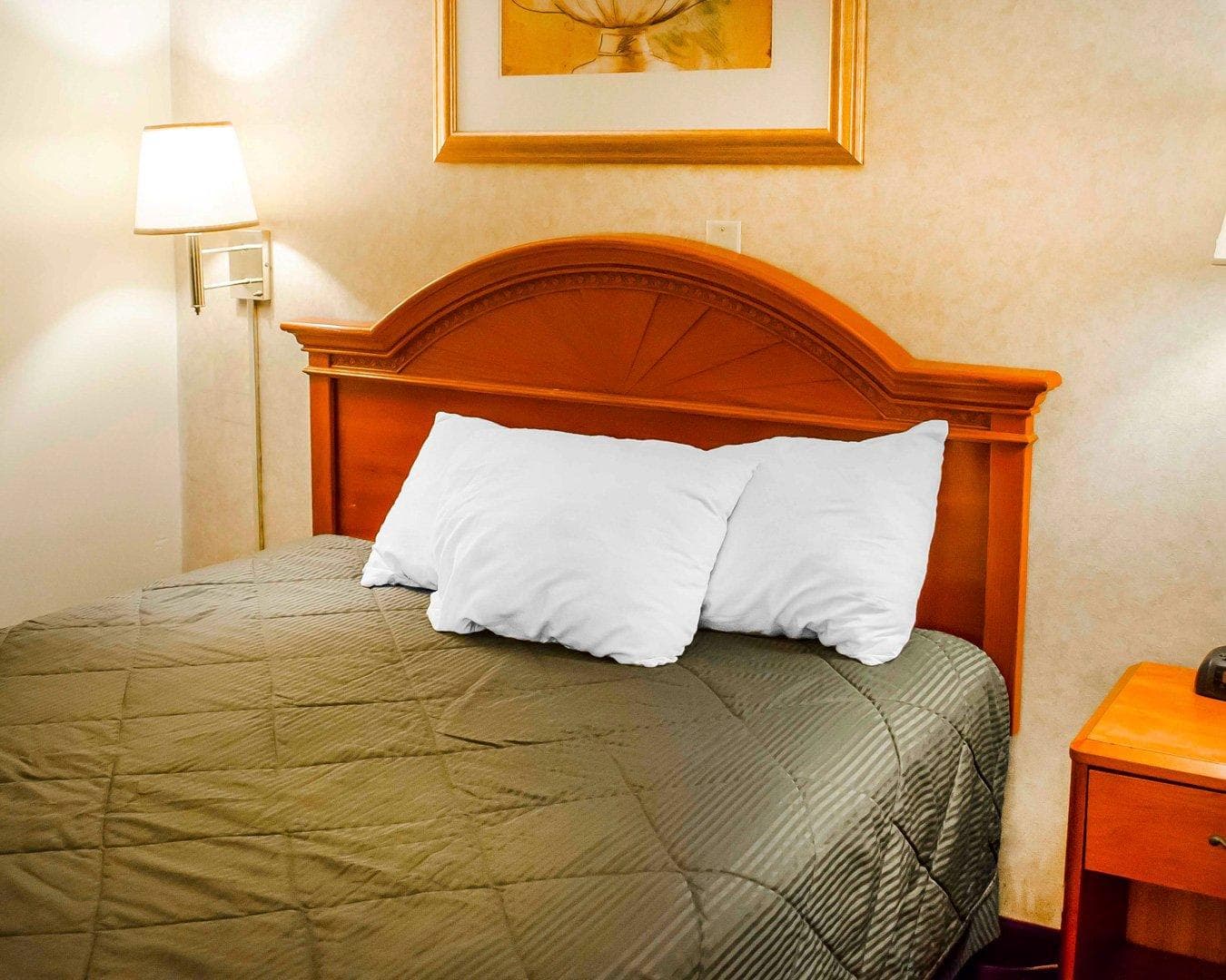 Rodeway Inn Dillsburg — 8