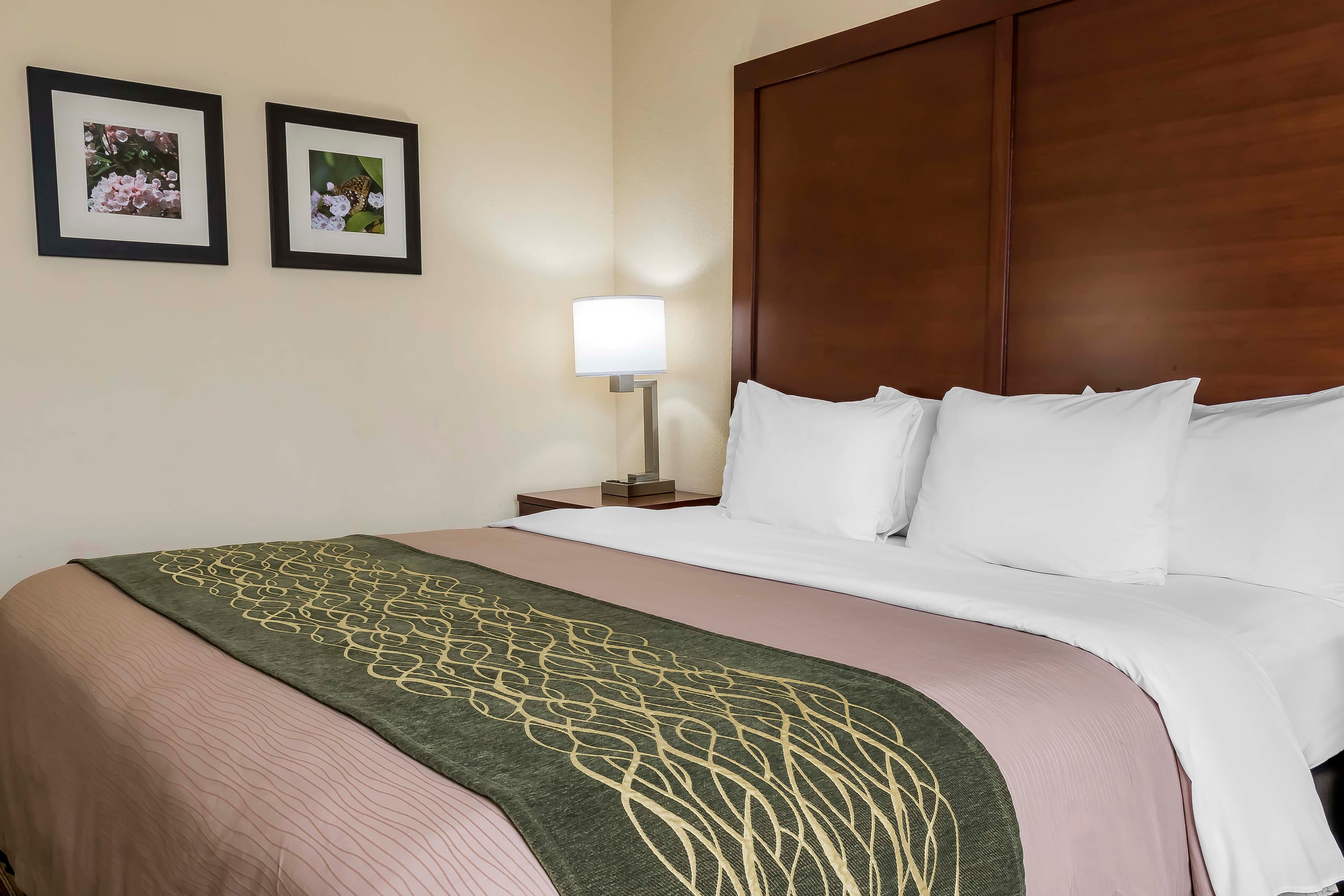 Comfort Inn - Pocono Mountains — 6