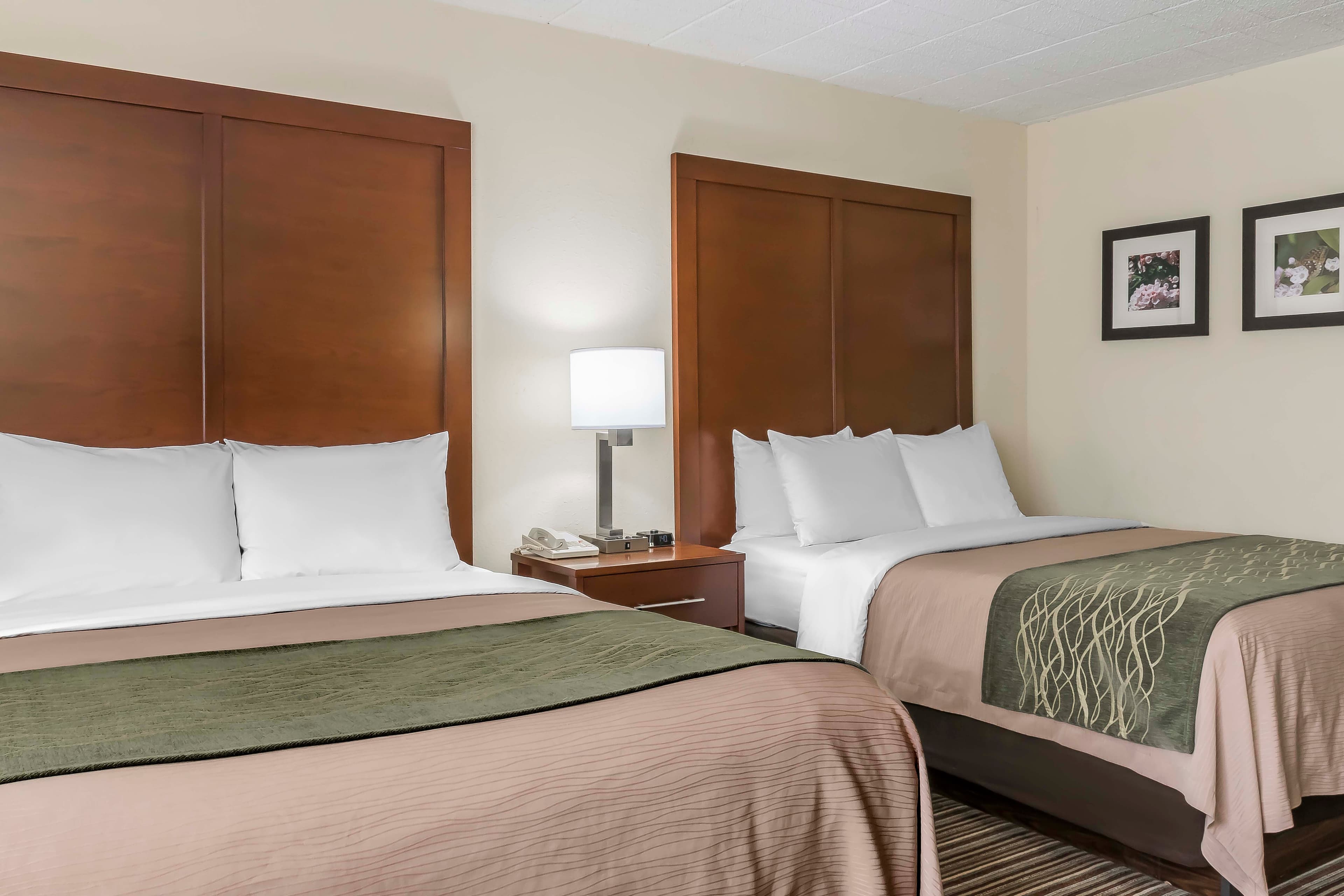 Comfort Inn - Pocono Mountains - Image 3