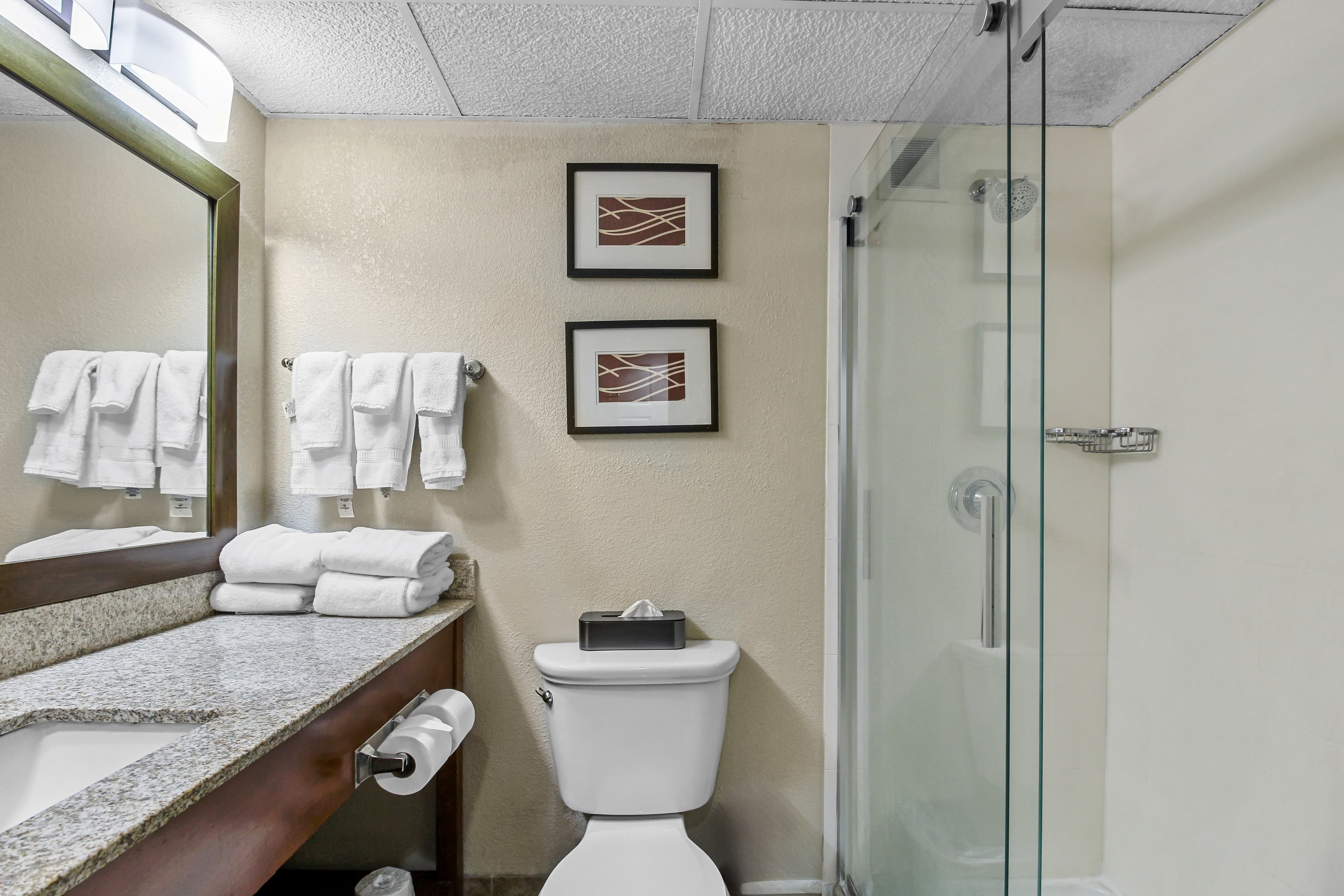 Comfort Inn Cranberry Twp. — 9