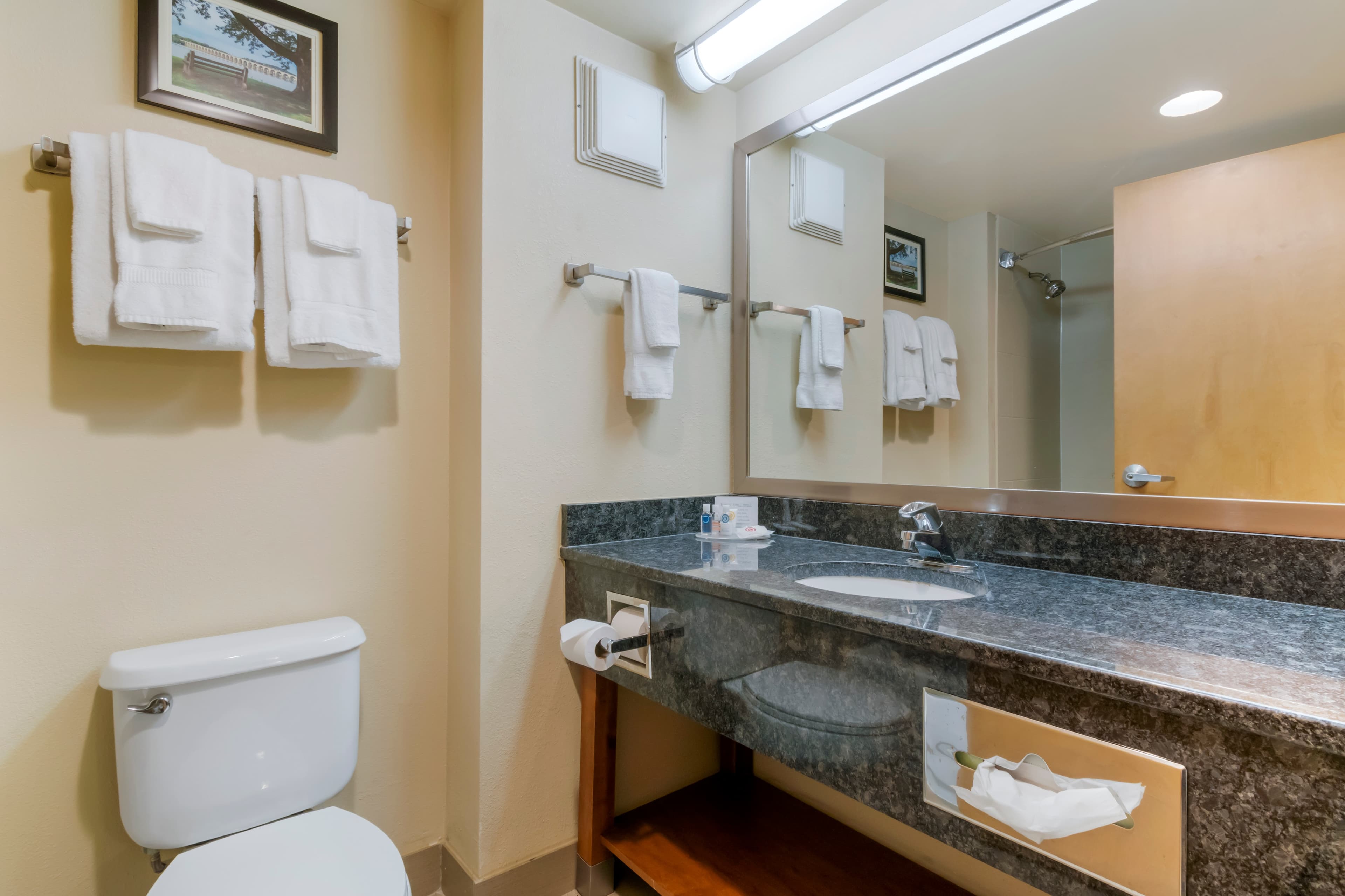 Comfort Inn Mechanicsburg - Harrisburg South — 17