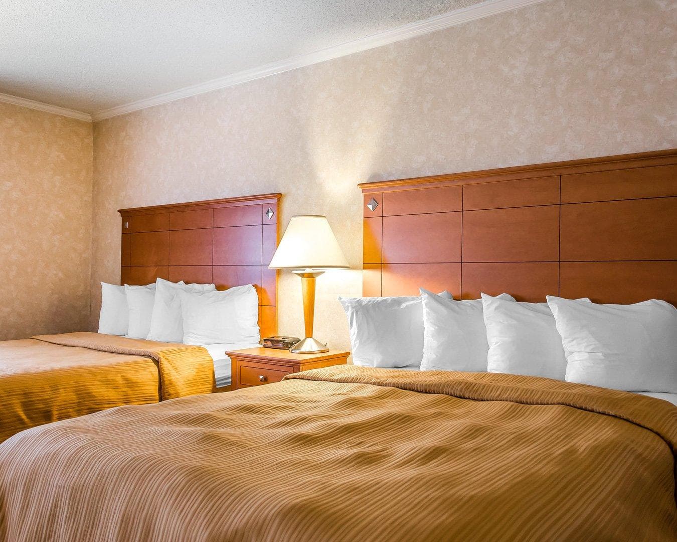 Quality Inn Harrisburg - Hershey Area — 19