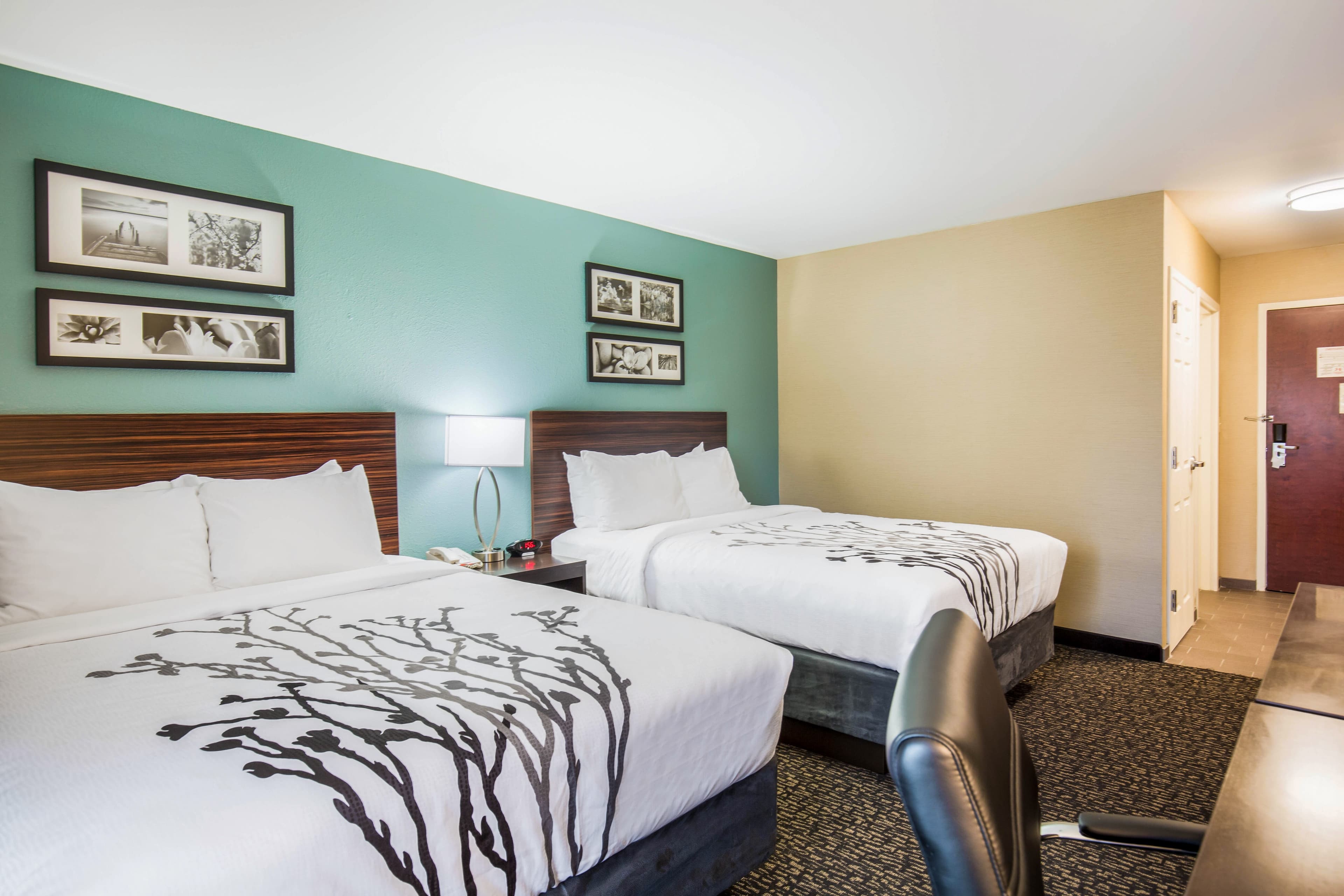 Sleep Inn & Suites Dunmore - Image 3