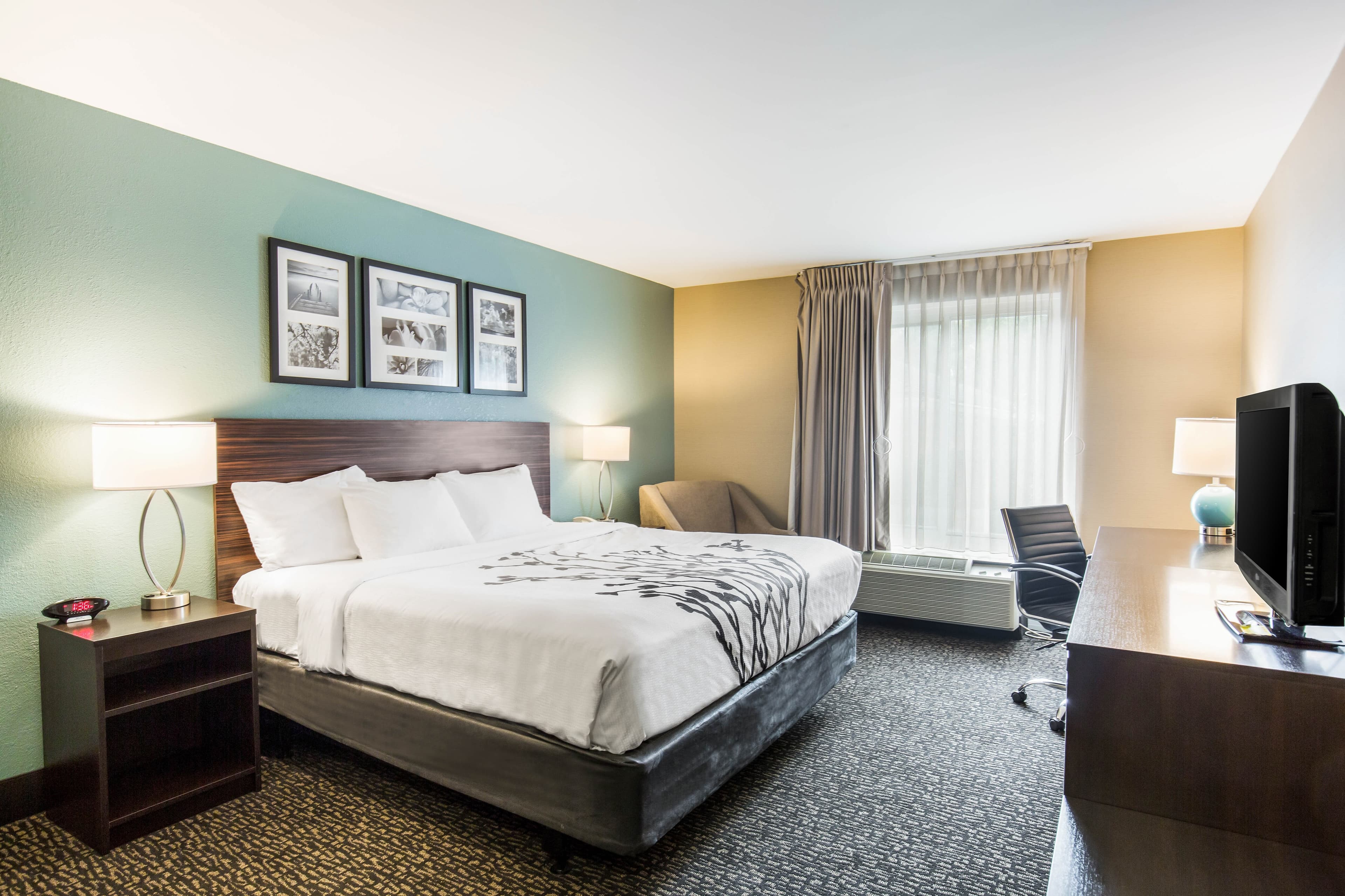 Sleep Inn & Suites Dunmore - Image 5