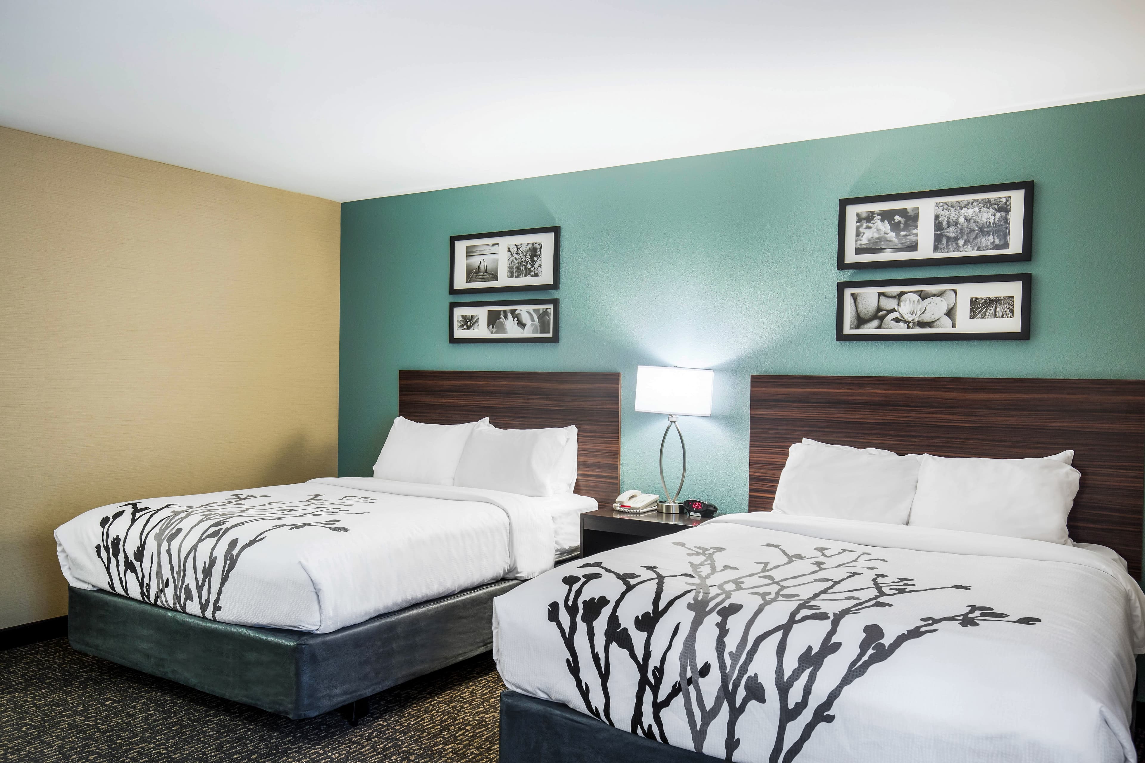 Sleep Inn & Suites Dunmore — 11