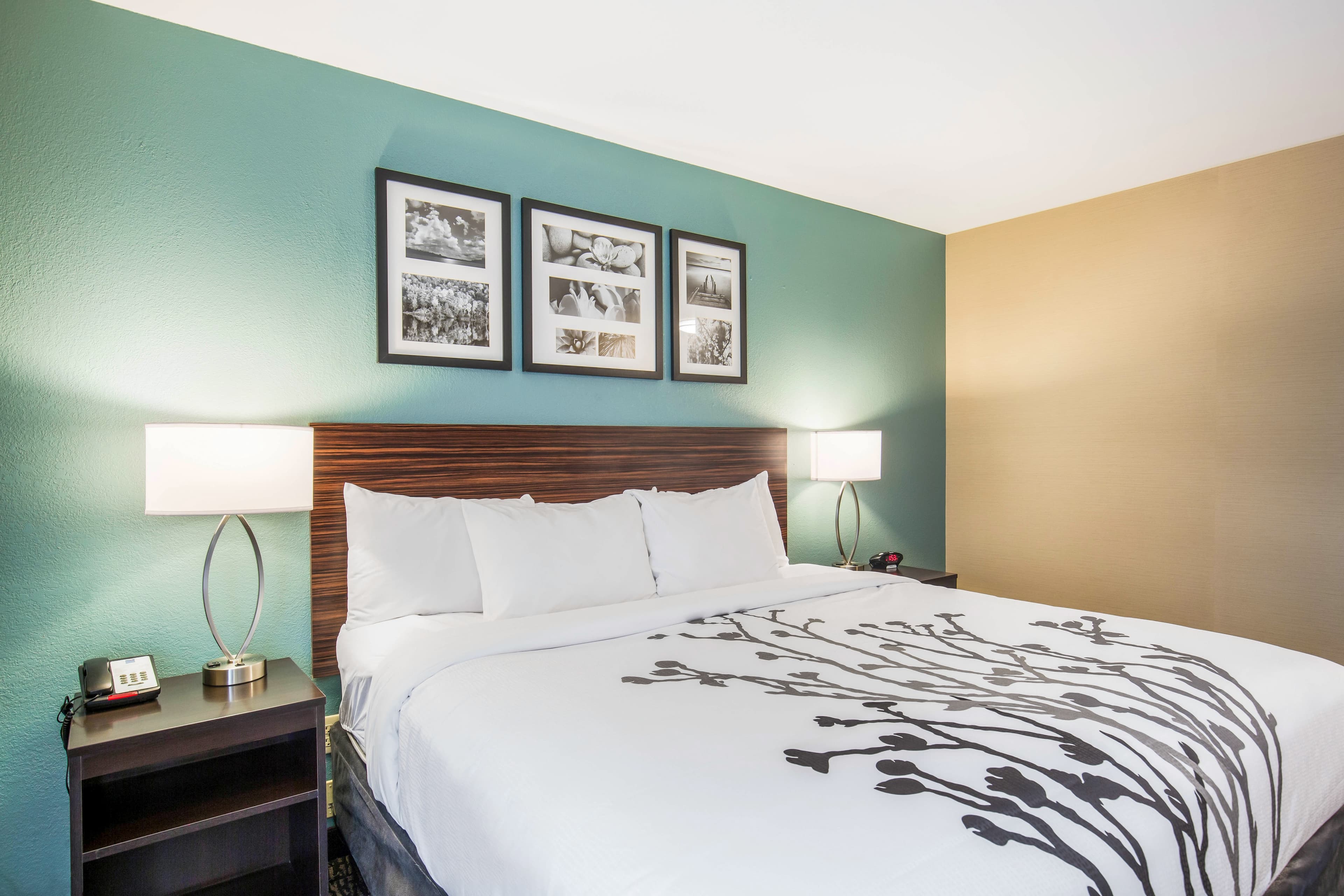 Sleep Inn & Suites Dunmore — 17