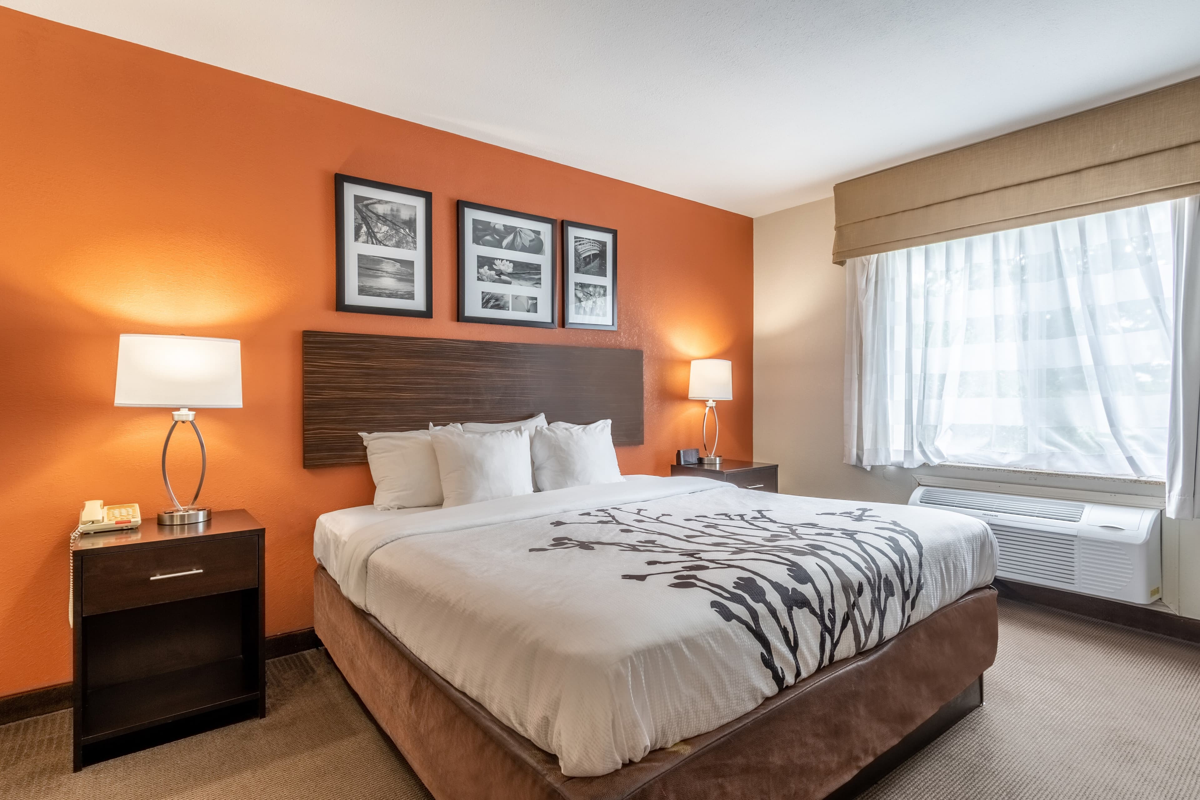 Sleep Inn & Suites Ronks - Lancaster Area — 10