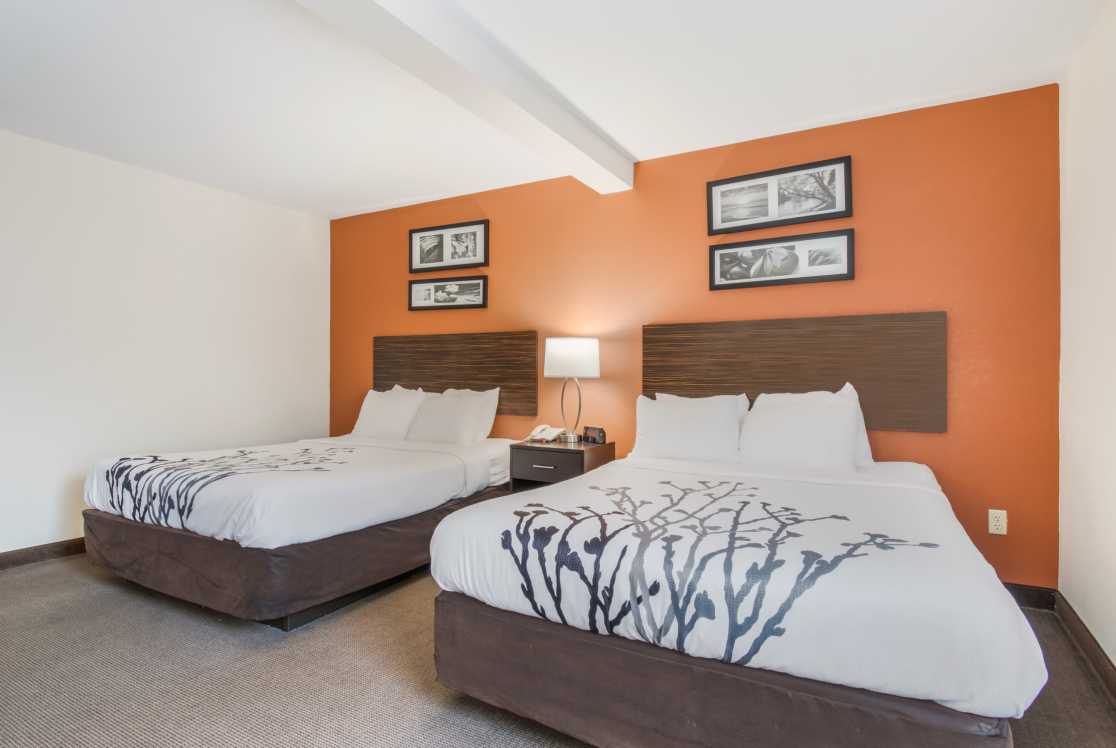 Sleep Inn & Suites Ronks - Lancaster Area — 16