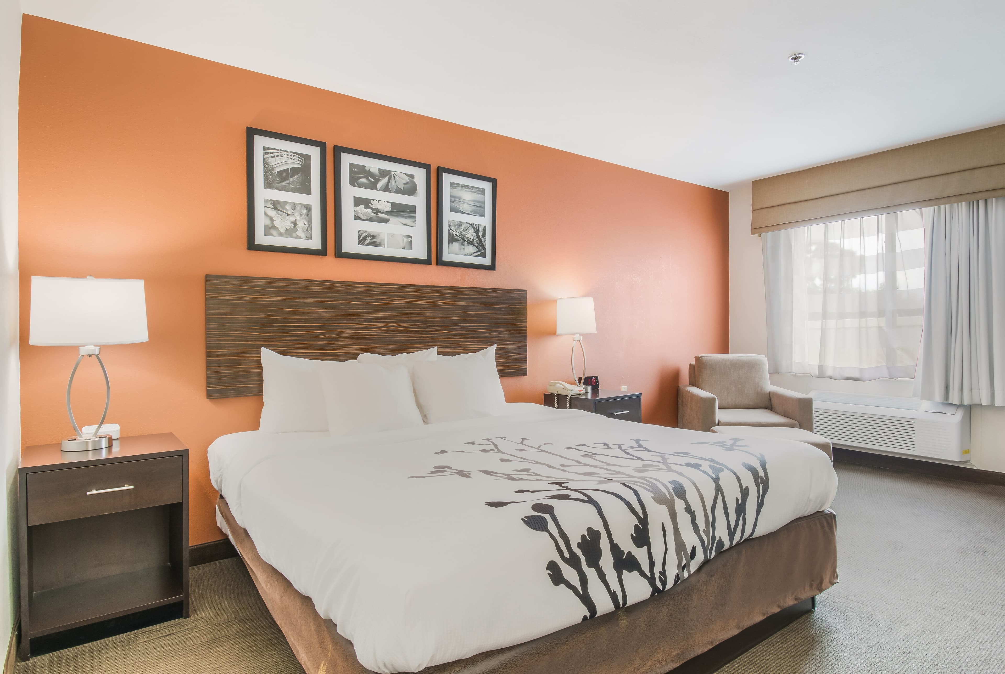 Sleep Inn & Suites Ronks - Lancaster Area — 9