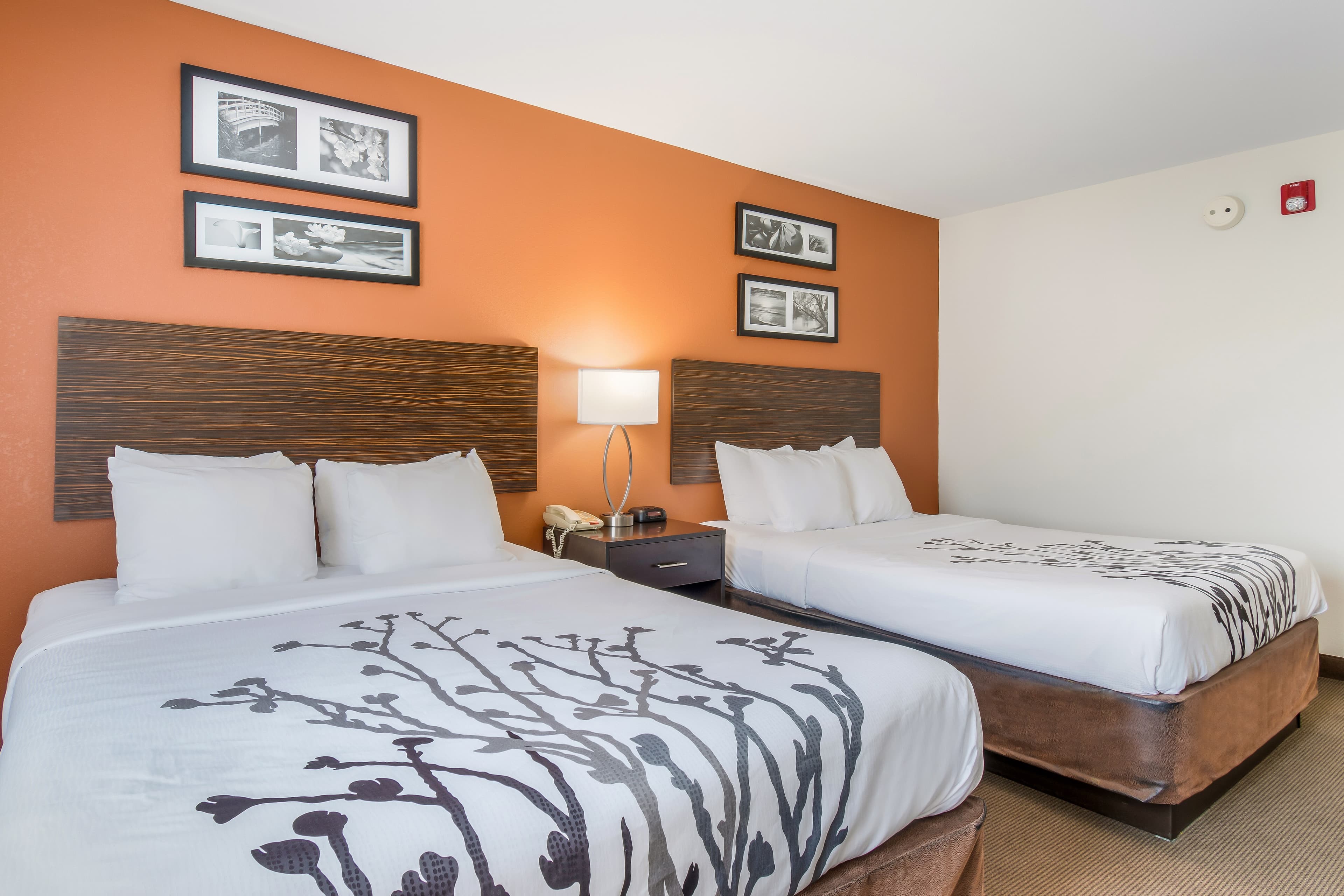 Sleep Inn & Suites Ronks - Lancaster Area — 17