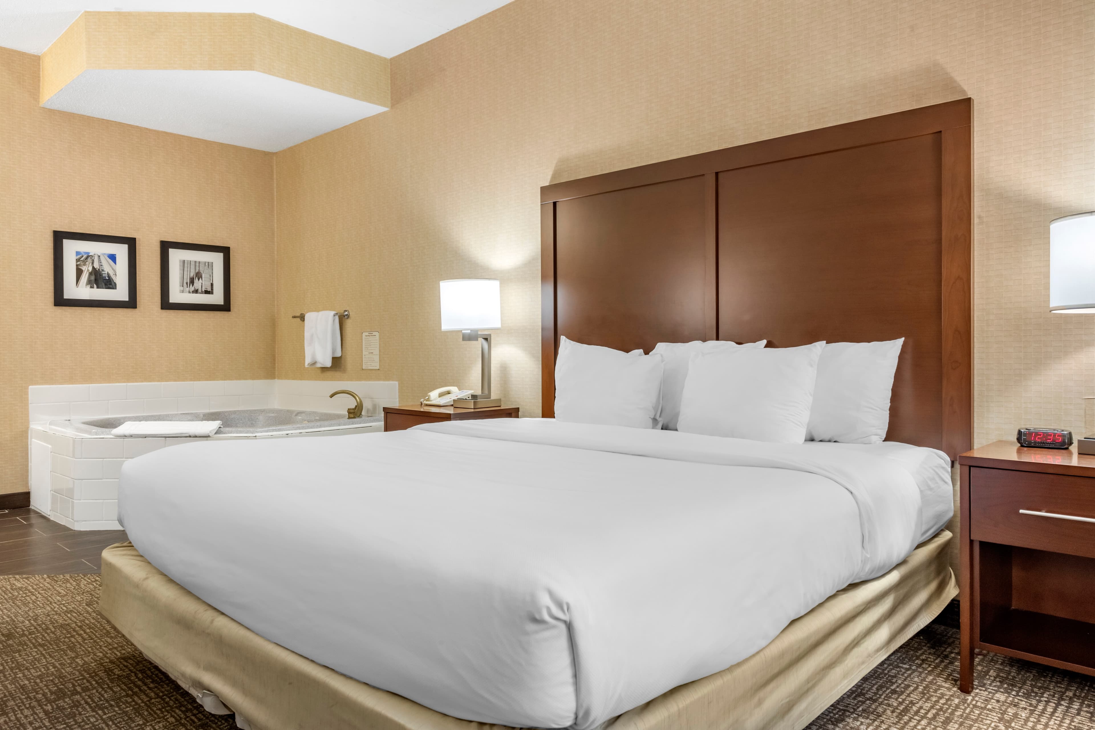 Comfort Inn Meadowlands — 10