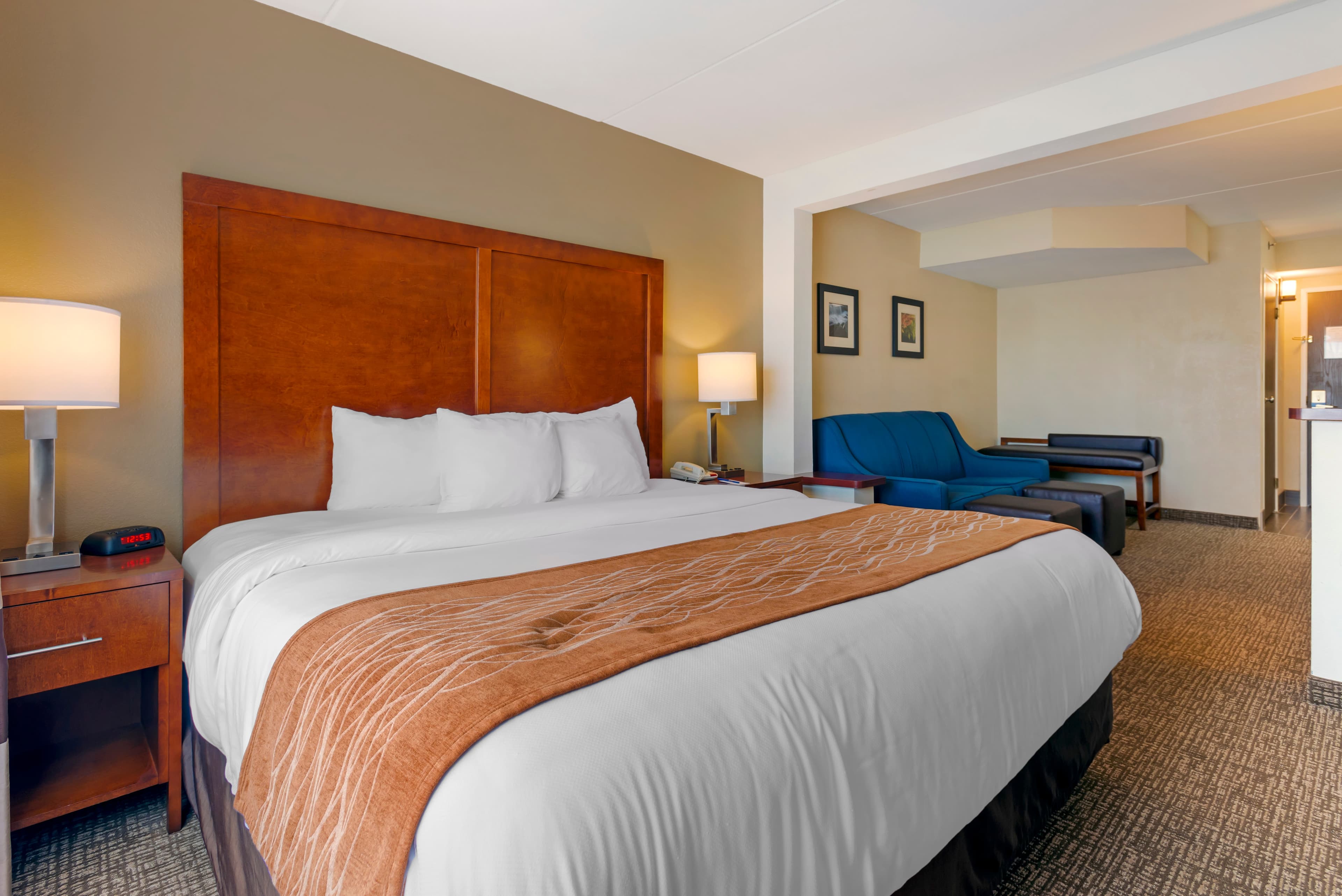 Comfort Inn & Suites Wilkes Barre - Arena — 19