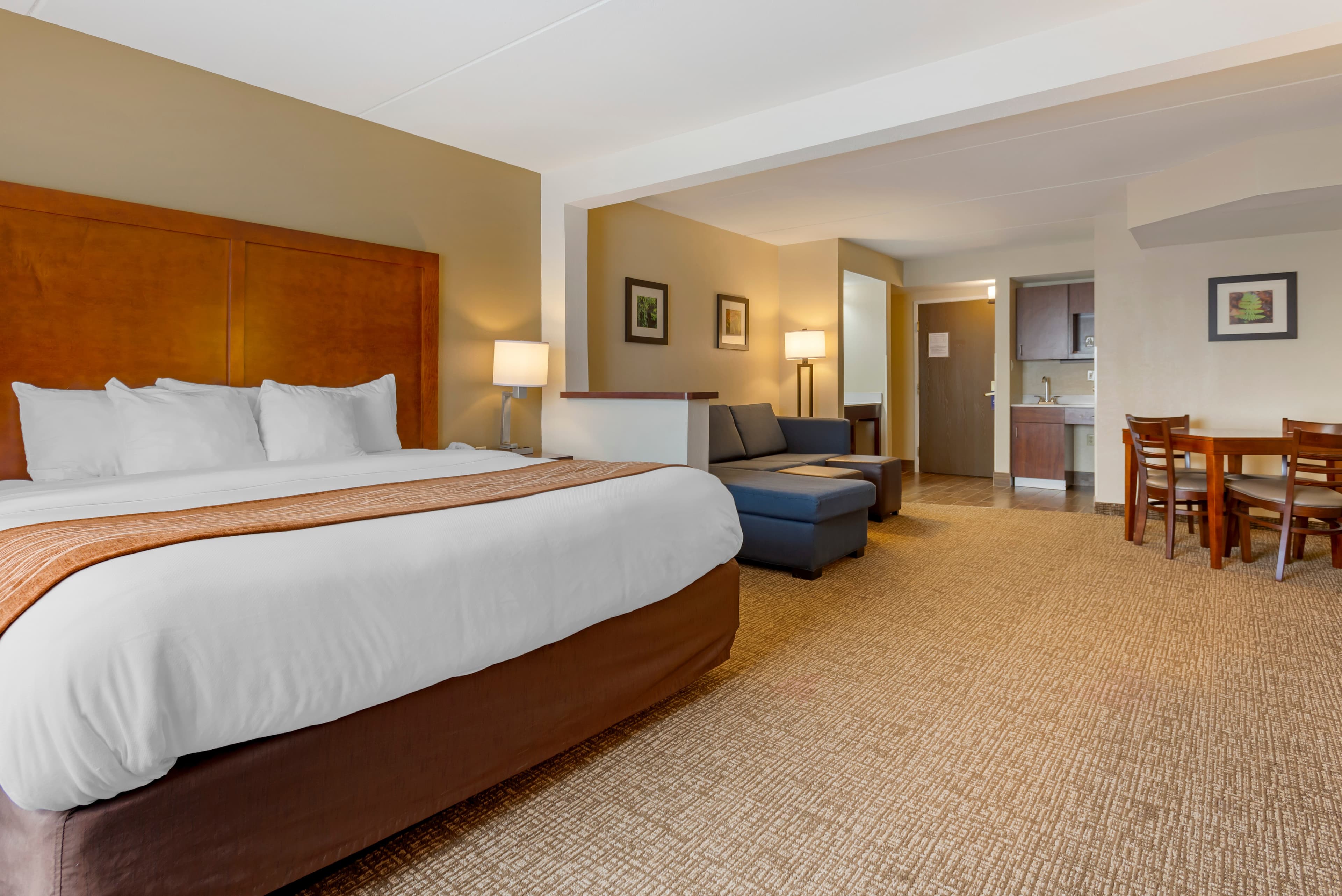 Comfort Inn & Suites Wilkes Barre - Arena — 25