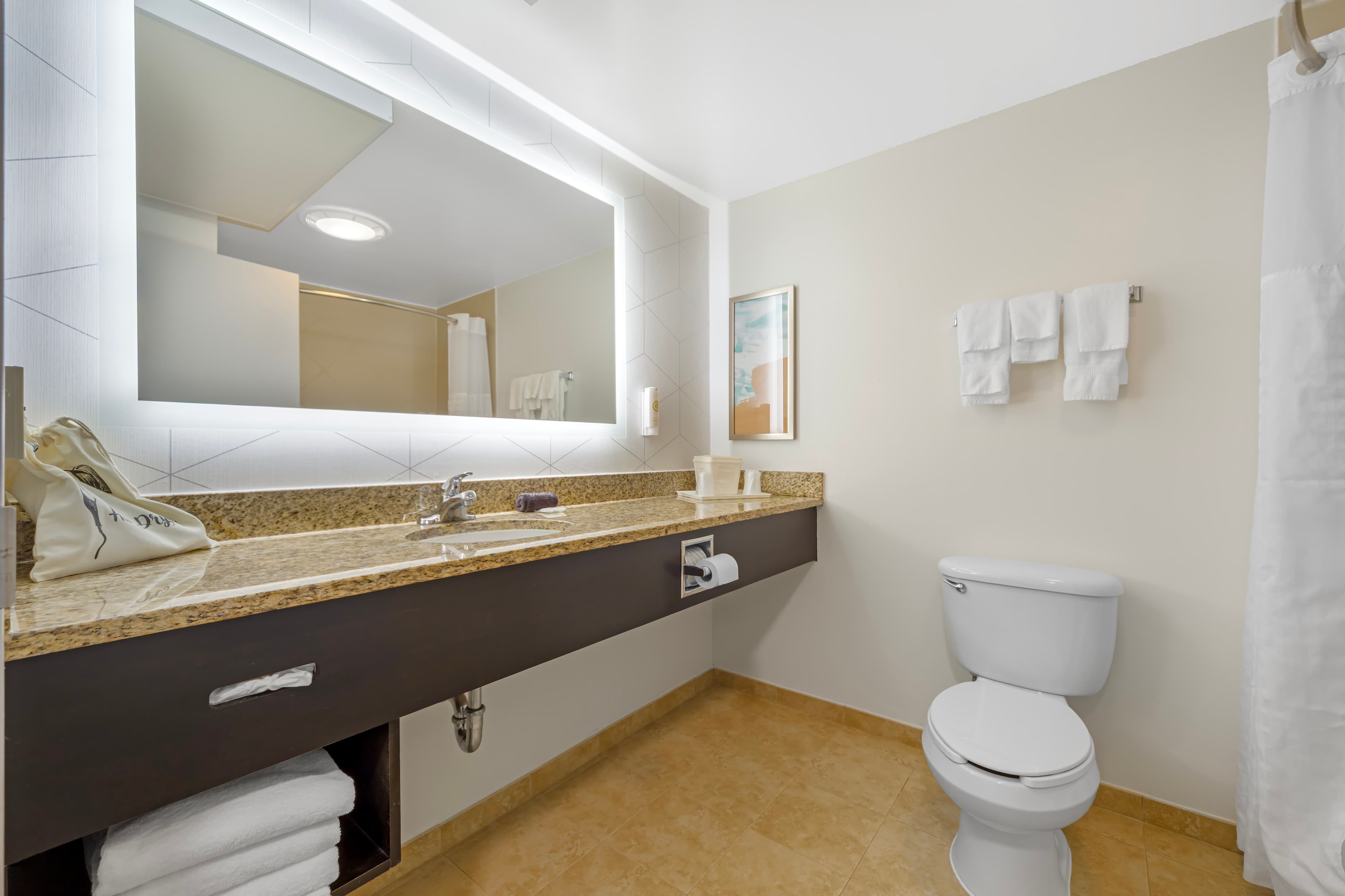 Comfort Suites Lewisburg near University - Image 5