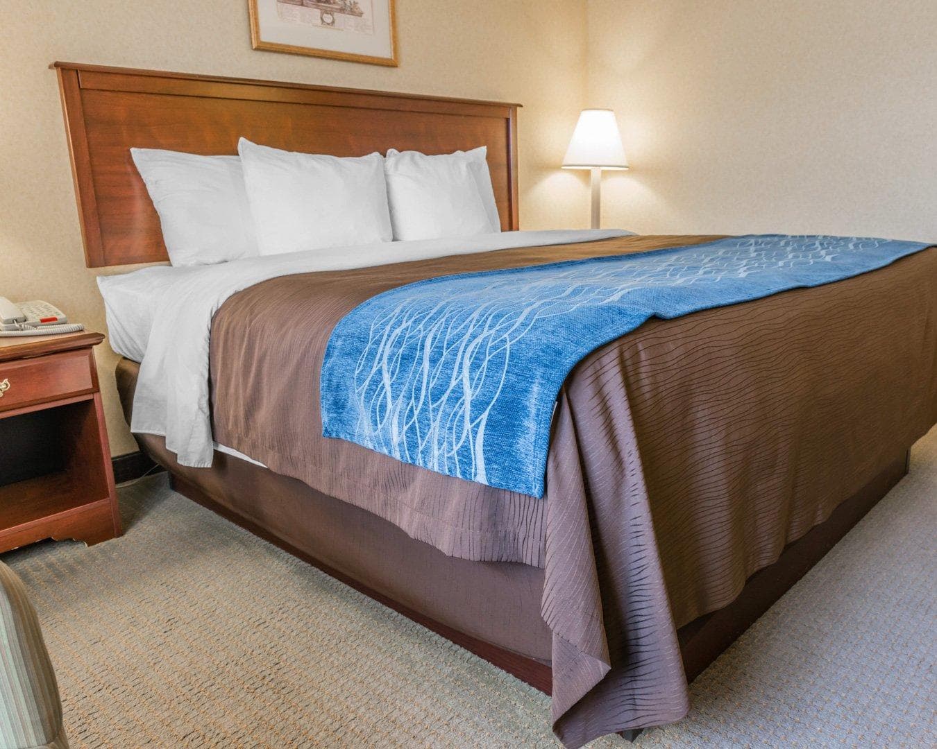Rodeway Inn Mercer I-80 — 5