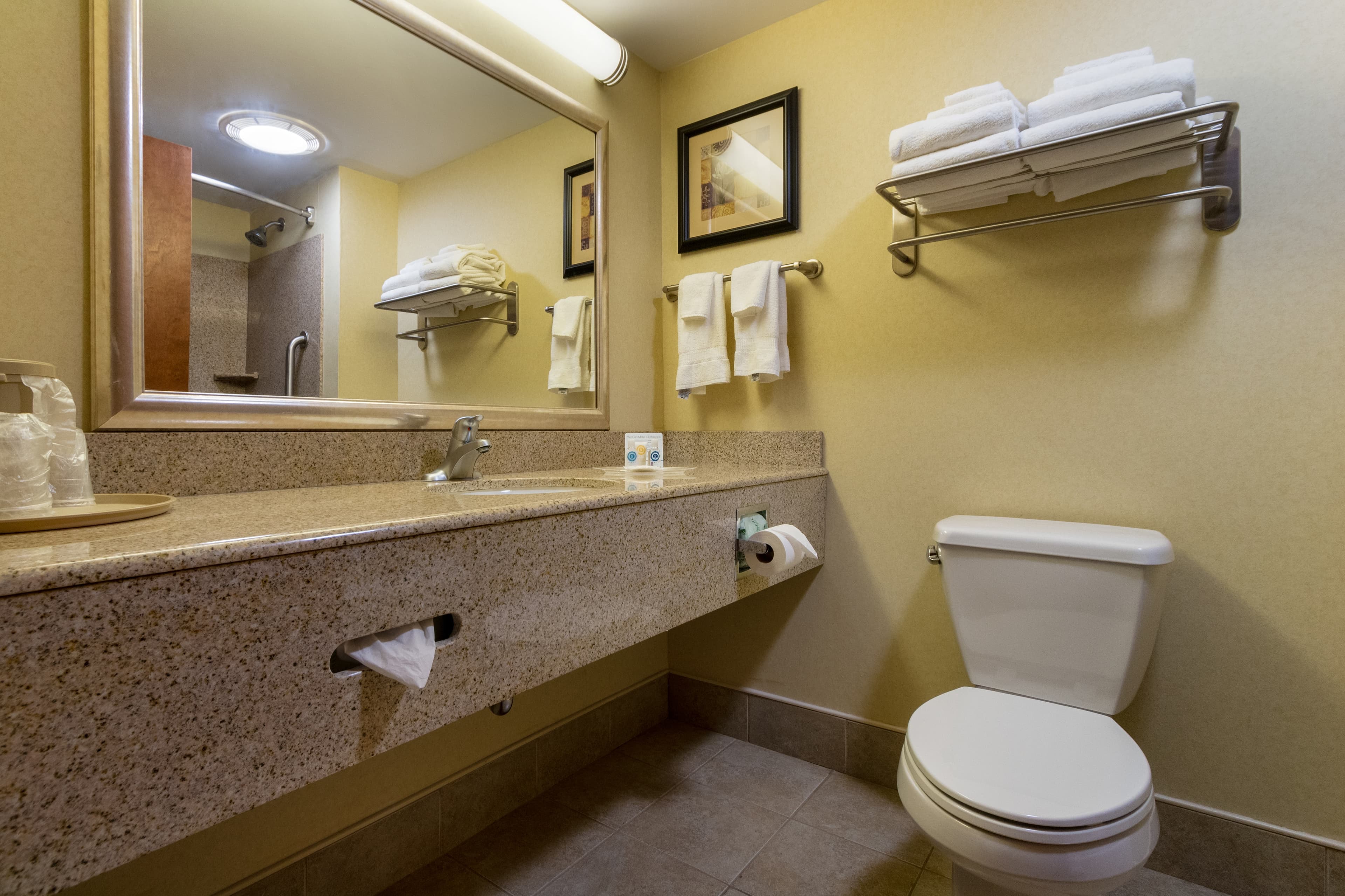 Comfort Suites Near Gettysburg Battlefield Visitor Center - Image 5